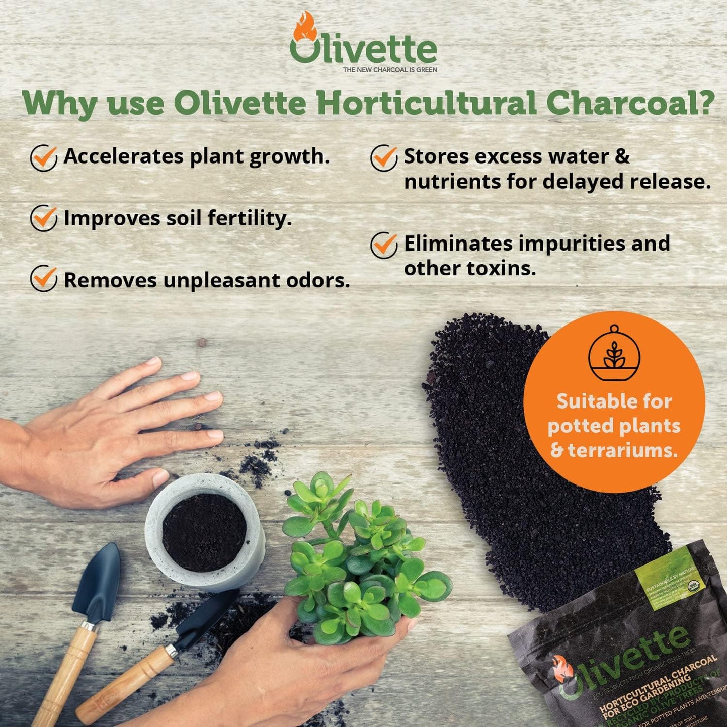 Olivette Horticultural Biochar Activated Charcoal for Plants, USDA Organic Moisture Control for Terrarium Trees & Potted Plants, Eco-Conscious, 1 Bag