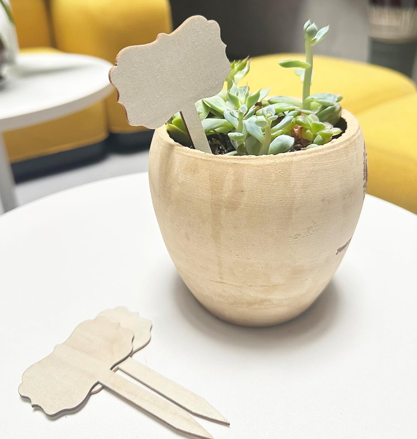 100 Pcs Wood Plant Labels, Natural Wooden Plant Marker Garden Sign Tags, T-Type Garden Markers for Succulents, Herbs, Seedlings, Potted, Flowers, Vegetables (Polygon)