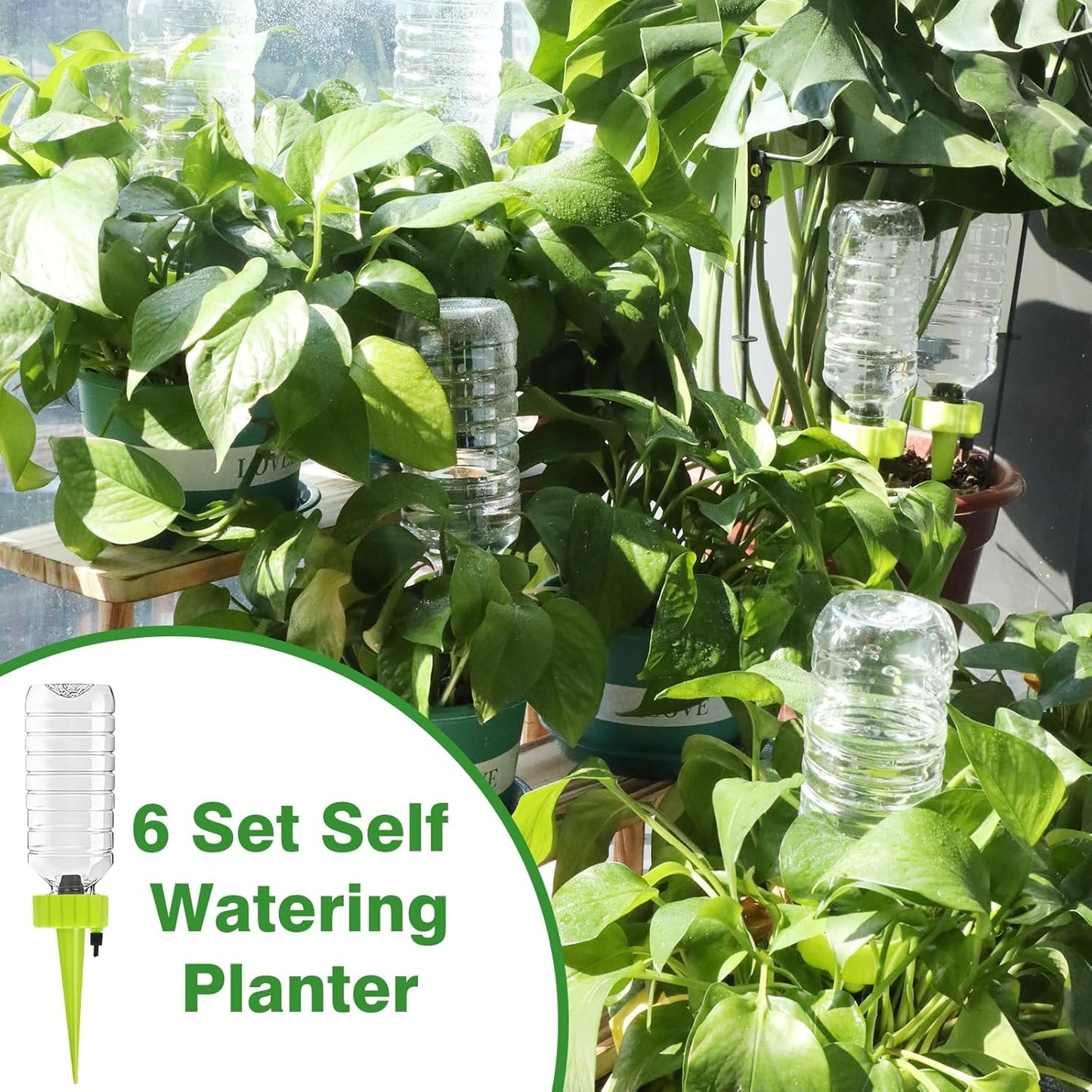 6 Set Self Watering Planter Insert Spikes, Indoor Plant Watering Devices 6pcs Slow Release Auto Vacation Plant Waterer Stakes 6pcs 20oz Plastic Bottles with Adjustable Valve Switch Control for Garden