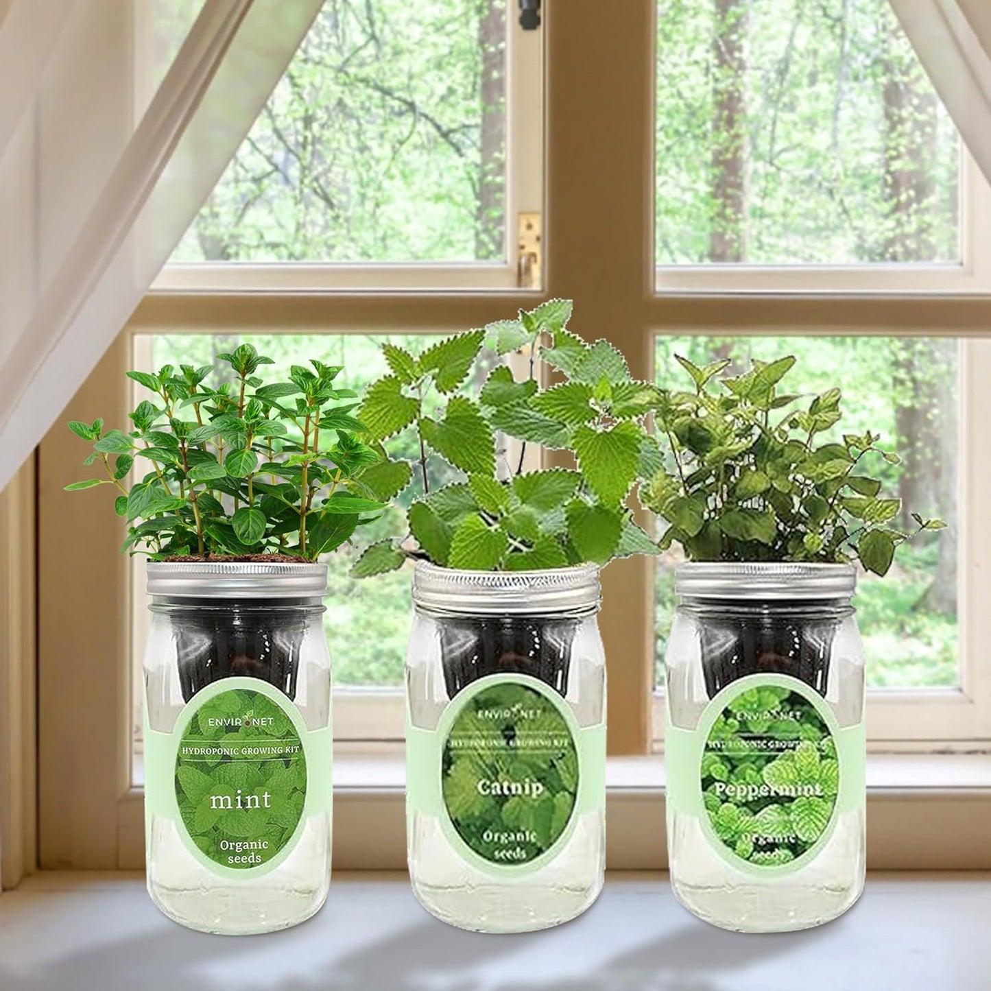 Hydroponic Herb Growing Kit Set, Self-Watering Mason Jar Herb Garden Starter Kit Indoor, Grow Your Own Herbs from Seeds (Mint, Peppermint & Catnip)