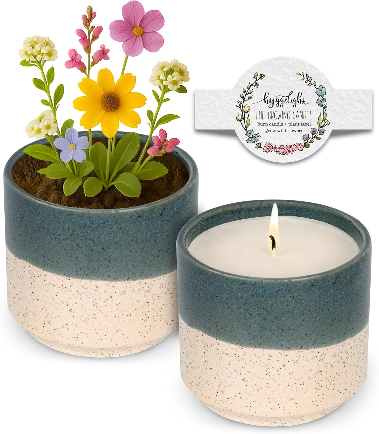 The Growing Candle, Mint & Eucalyptus Scented, 8.5oz Ceramic Pot, Aromatherapy Candles, 100% Soy, Willow