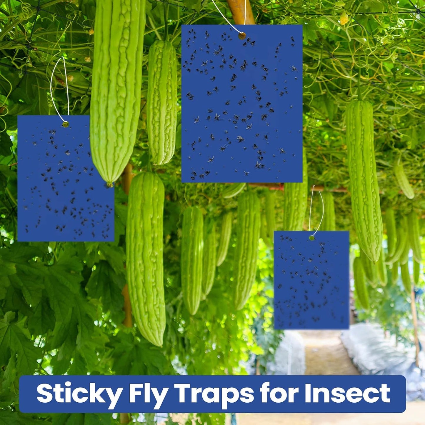 Qualirey 100 Pcs 6 x 8 Inch Sticky Traps for Plant Double Sided Sticky Trap for Gnats with Twist Ties Fly Traps for Fruit Insect Fungus Bugs Indoor Outdoor (Blue)