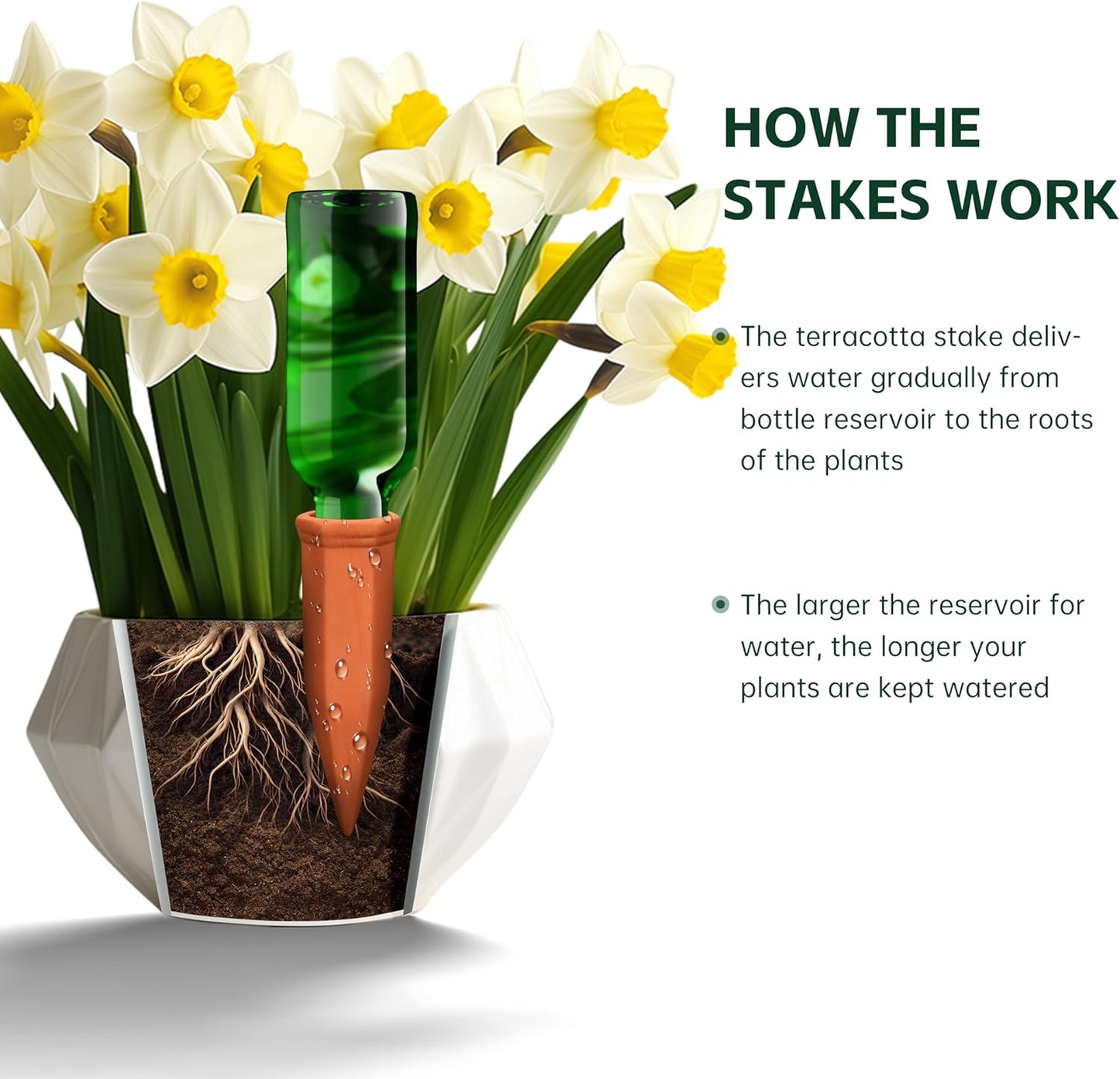 Large Terracotta Plant Watering Spikes, Automatic Plant Waterer Outdoor | Indoor Use, Vacation Clay Watering Devices System, Slow Release Self Watering Planter Insert, 6 Pack