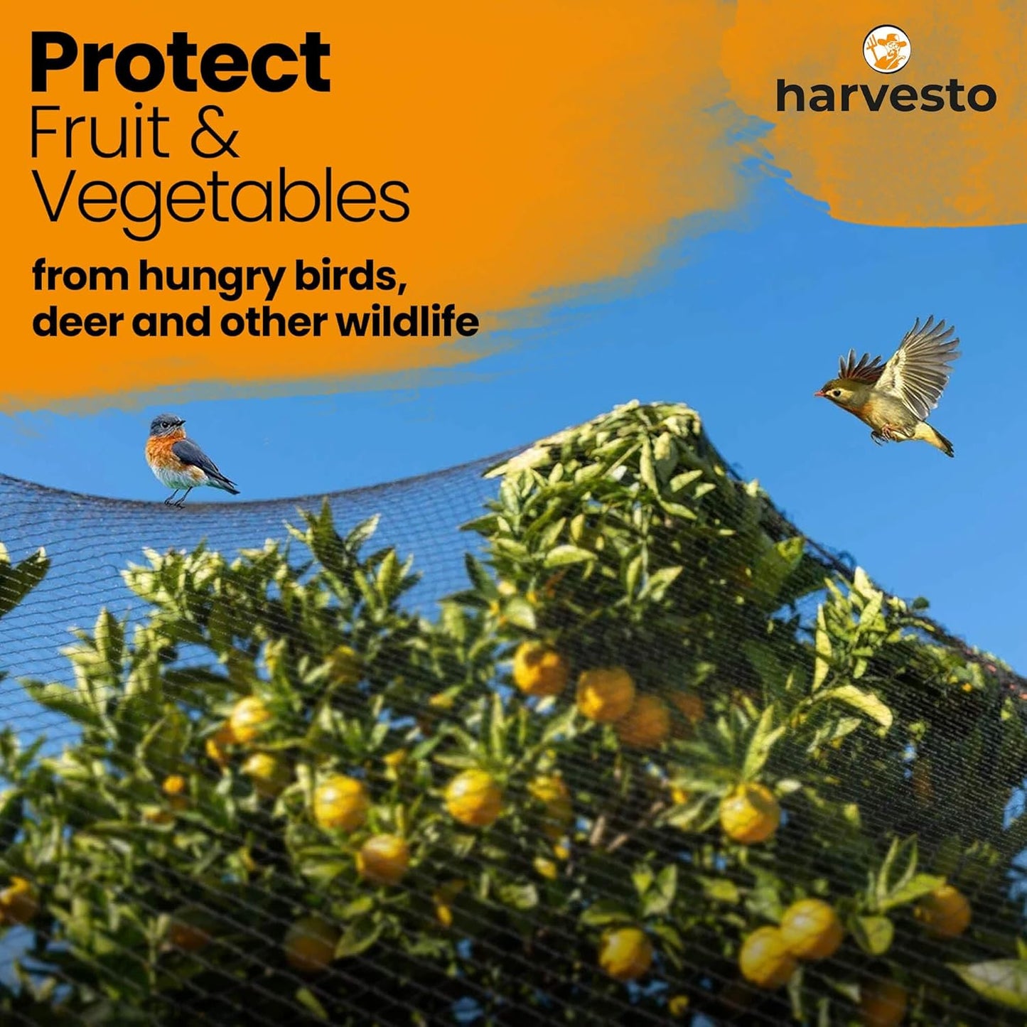 Heavy Duty Bird Netting for Chicken Coops & Runs | Tree & Garden Netting Mesh 1-1/2" | Keep Hawks, Birds & Predators Away | Bird Netting for Blueberry Bushes, Vegetables & Fruit (50' x 150')