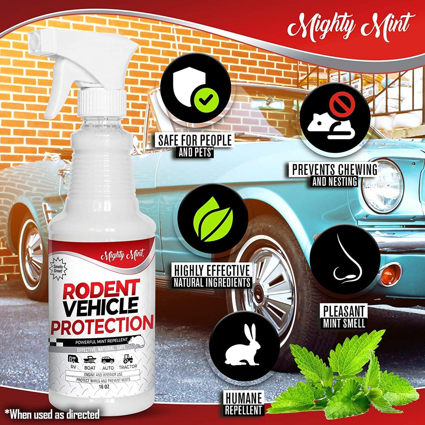 Mighty Mint Peppermint Oil Rodent Repellent Spray for Vehicles – Natural Mouse & Rat Control for Car Engines, RVs, Trucks & Boats – Plant-Based, Extra-Strong Formula – 16 oz (Pack of 2)