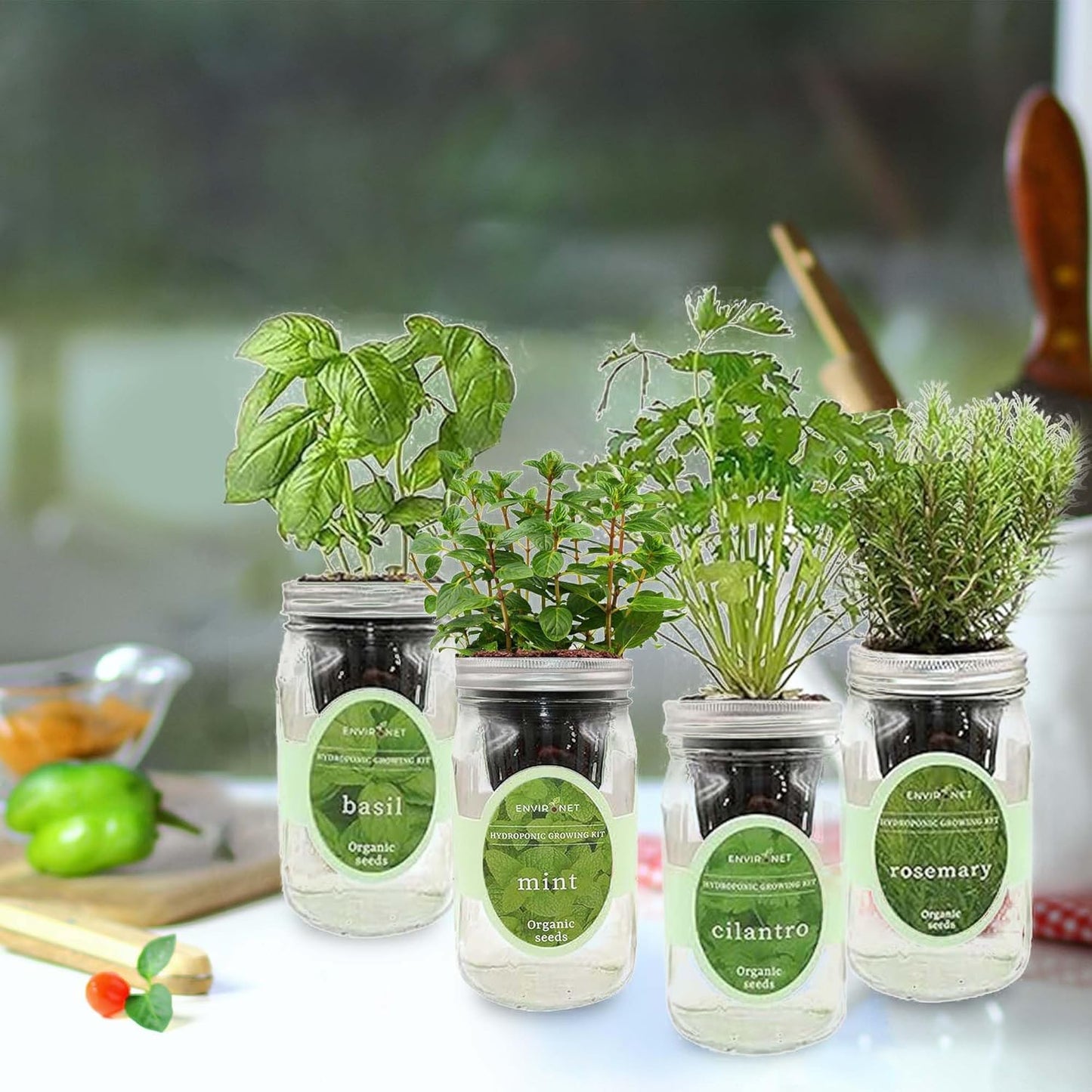 Hydroponic Herb Growing Kit Set, Self-Watering Mason Jar Herb Garden Starter Kit Indoor, Grow 4 Kinds of Herbs from Seeds (Basil, Mint, Cilantro & Rosemary)