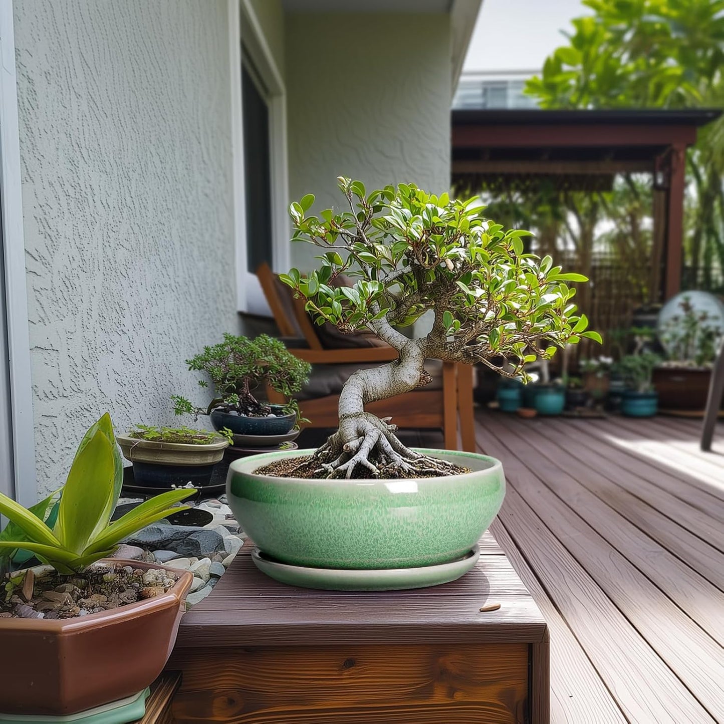 SQOWL Bonsai Pots - 10 Inch Ceramic Succulent Pots with Drainage Hole and Saucer, Shallow Planter for Indoor Plants Flowers, Round Planter Bowl, Living Room Decor, Plant Lover Gifts, Green