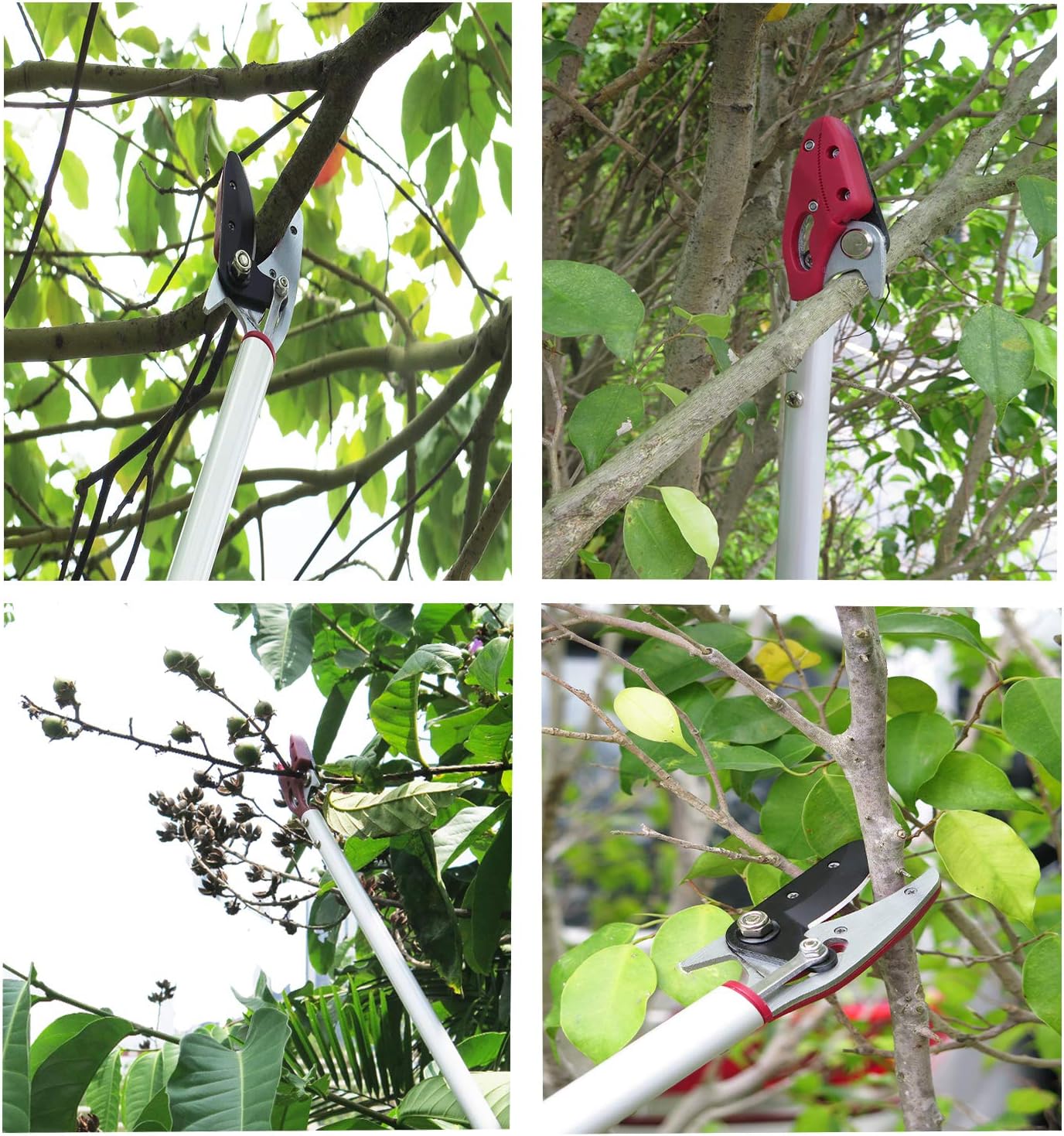 6 Feet Cut and Hold Tree Pruner, Rotation Pole Tree Trimming, Long Reach Fruit Picker, Branches Bypass Lopper