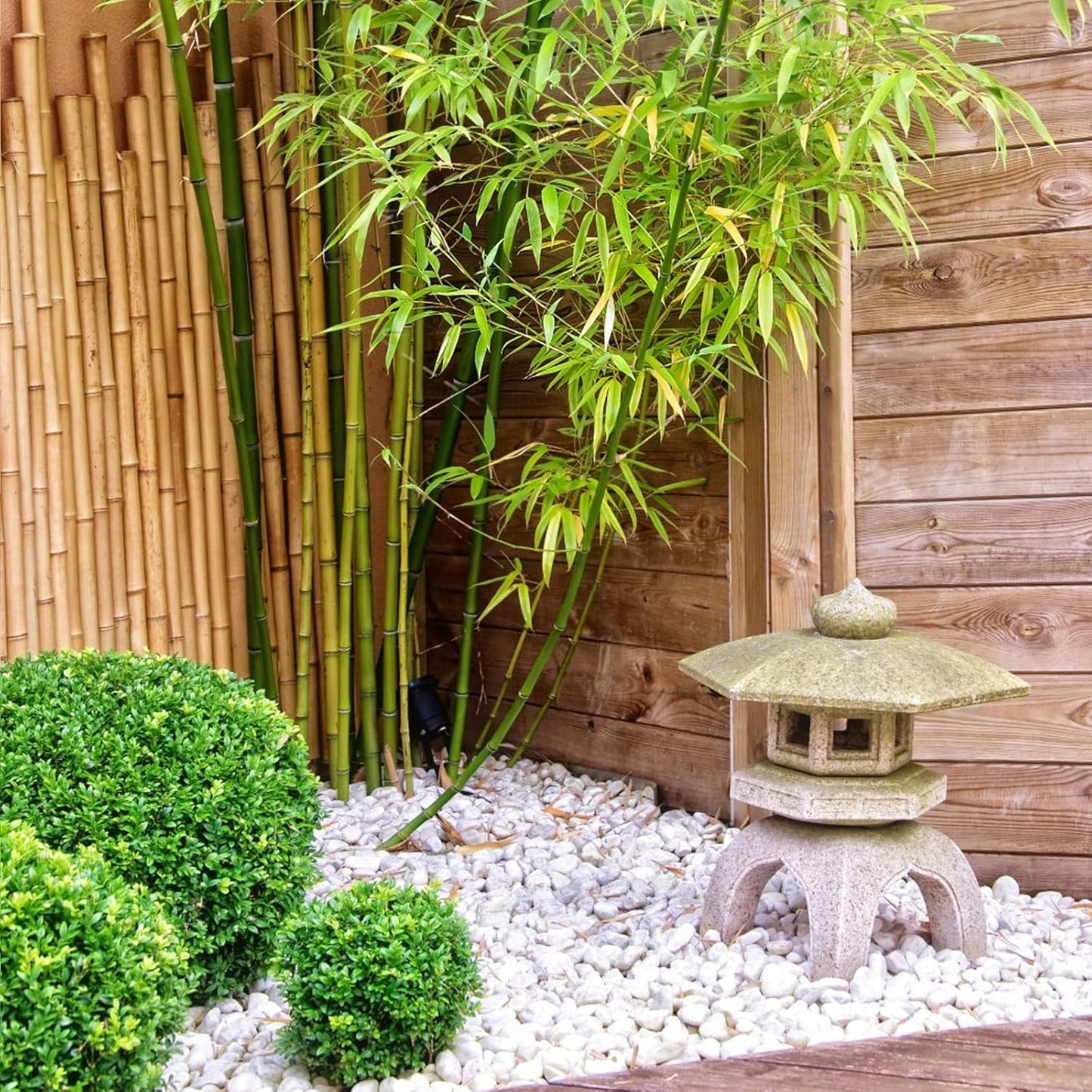 20 lbs White River Rocks for Landscaping, 2-3 inch Large Pebbles for Plants, Decorative Stones for Planters Vase Aquarium and Outdoor Garden Rocks