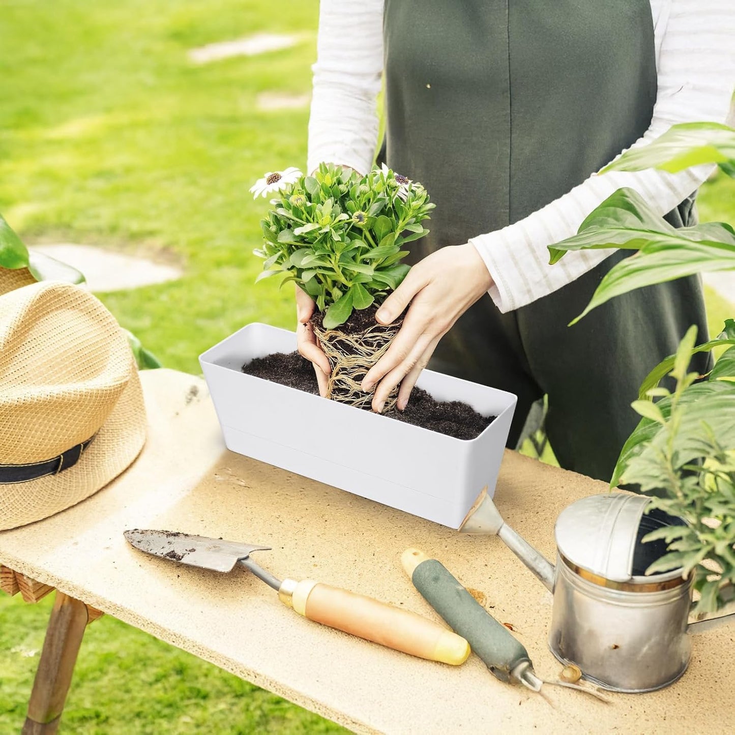 GREANER 12x3.8 Inch Herb Planters, 6 Pack White Rectangle Window Boxes with Tray, Indoor Succulent Cactus Mint Plastic Pot with Saucer for Windowsill, Balcony, Office, Outdoor Garden