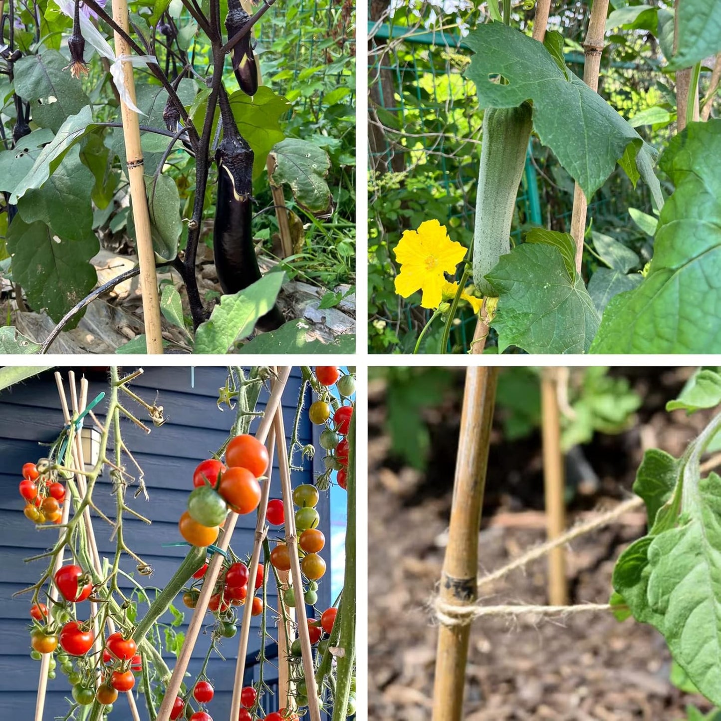 Bamboo Stakes for Plants, Natural Bamboo Plants Stakes 5 Feet, Garden Stakes for Climbing Plants Tomatoes, Beans, Potted Plants - 20Pcs Bamboo Poles (58in, Approx 5FT)