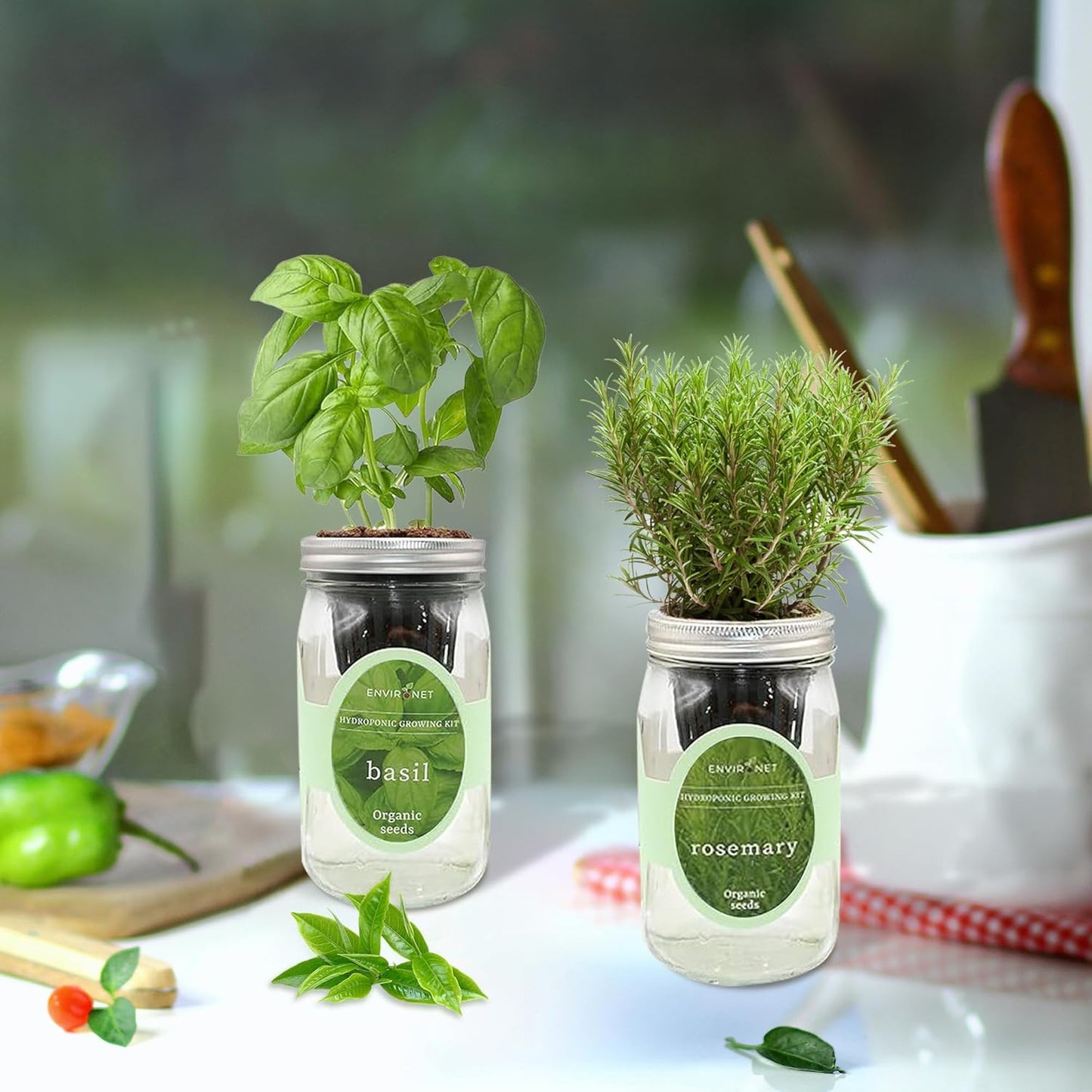 2-Pack Hydroponic Mason Jar Herb Garden Kit, Indoor Herb Garden Self-Watering Starter Kit (Cilantro,Mint)