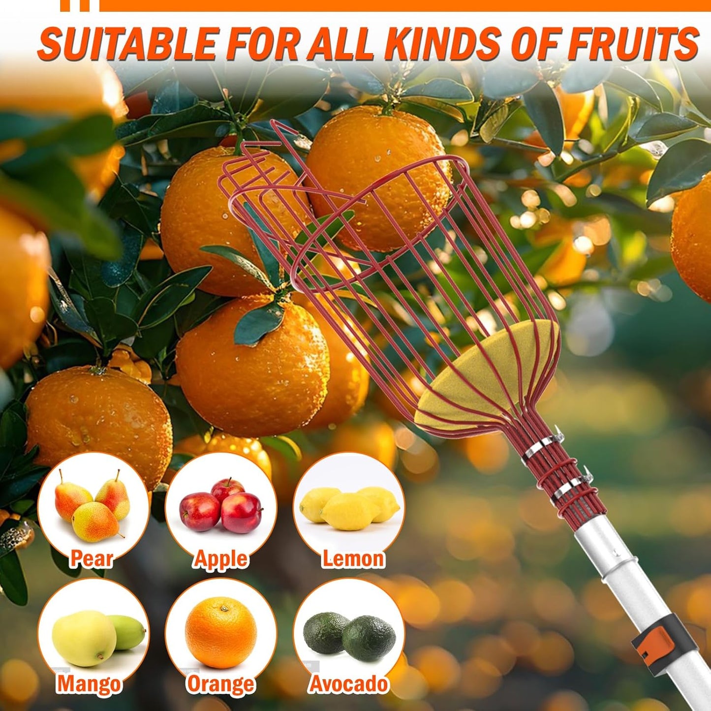 20FT Reach Fruit Picker Pole with Basket Telescoping, Apple Picker with Tree Trimmer and 3-12FT Extension Pole for Orange Lemon Mango Avocado Guava Fruit Picking