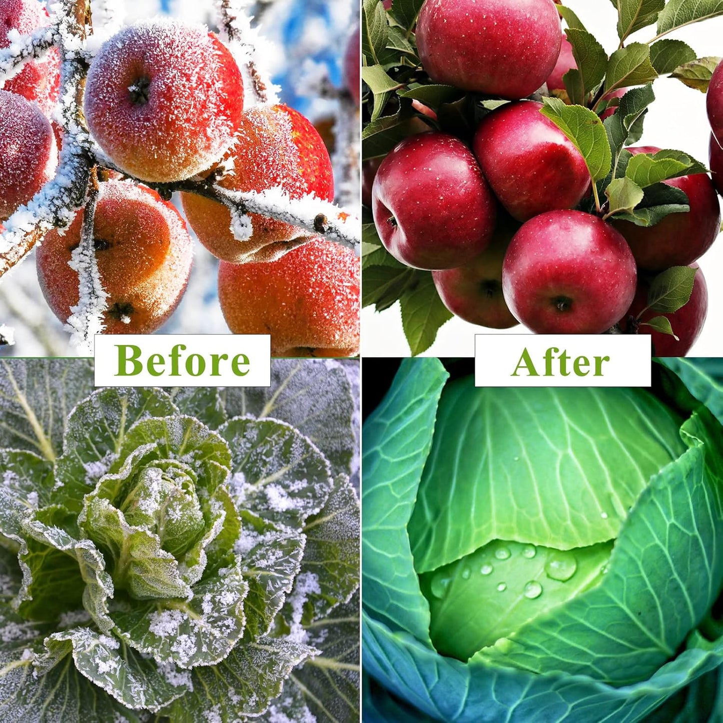 Plant Covers Freeze Protection 10 x 33Ft with 20 Stainless Steel Clips- Frost Cloths Plant Blankets Floating Row Cover for Outdoor Plants Winter Raised Bed Greenhouse Frost Sun Protection