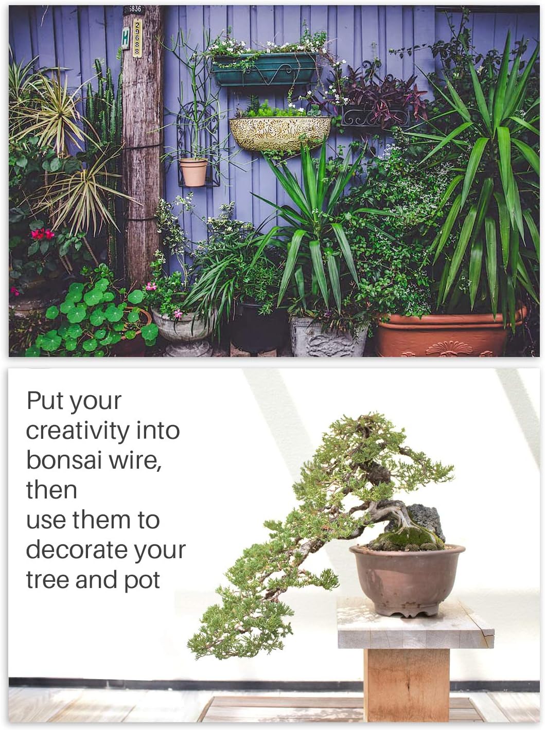 MoHern Bonsai Wire and Bonsai Tool Kit, Total 164 Feet Bonsai Tree Wire for Bonzai Trees Indoor, Size of 1-mm, 1.5-mm, 2-mm Aluminum Wire