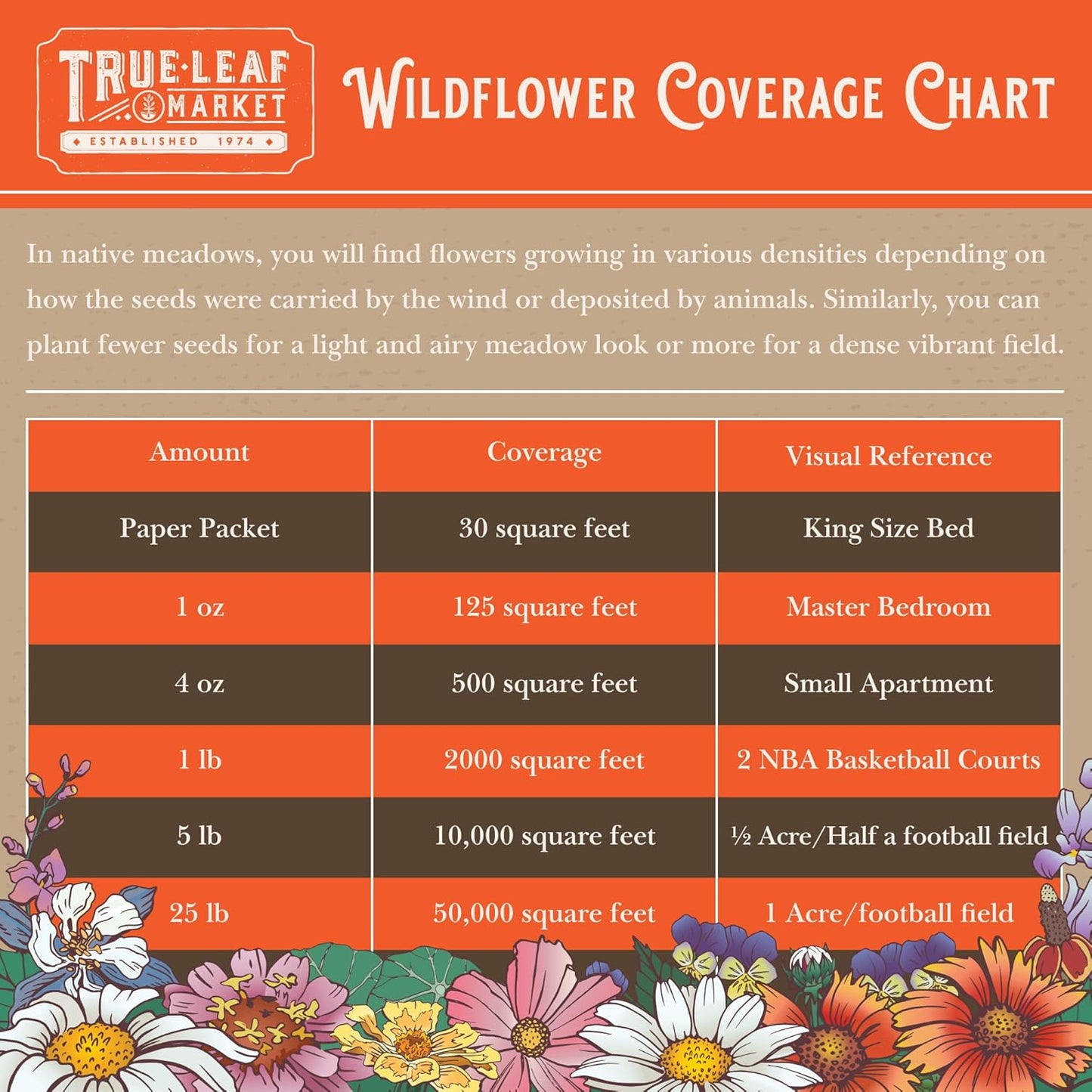 Wildflower Bulk, Southeastern Flower, 1 Lb. 640,000+ Seeds, Annual & Perennial Flowers with Native Southeastern Blooms, Pollinator Flower