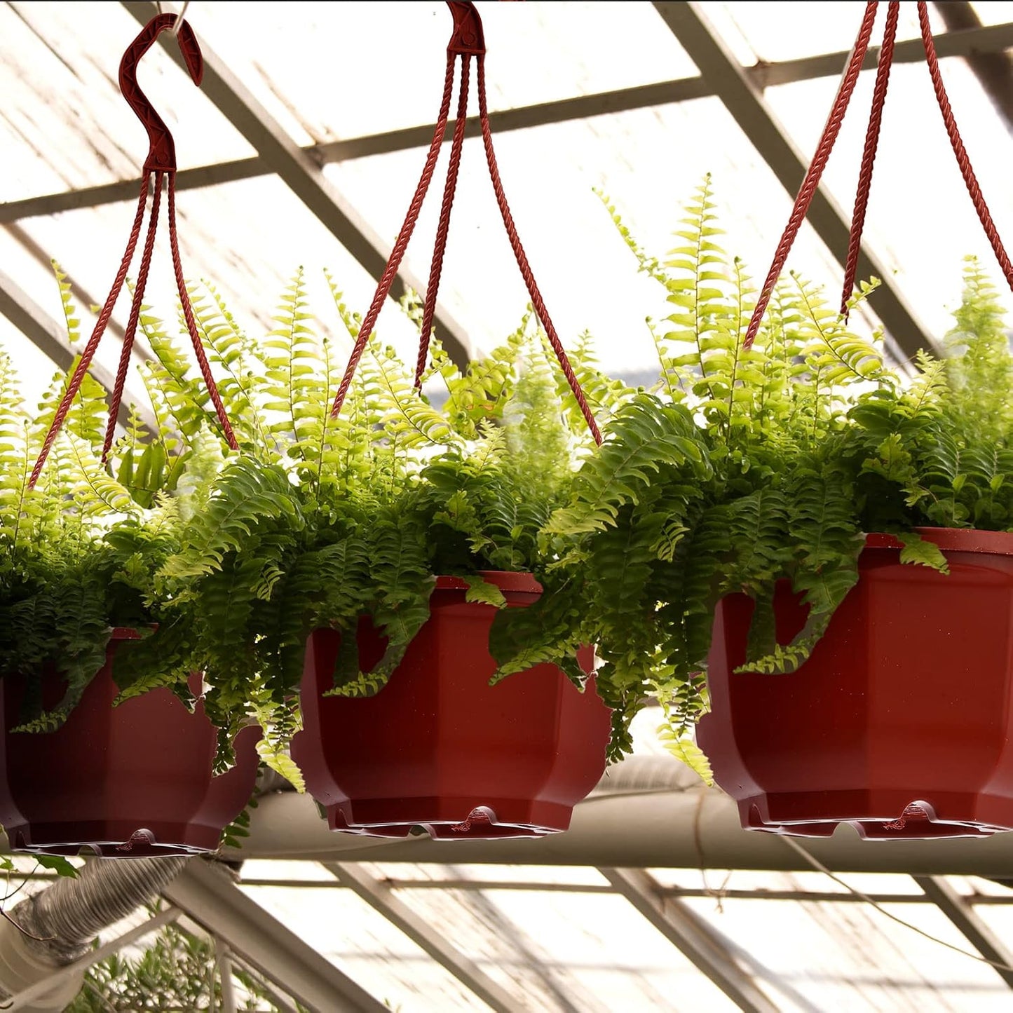 Roshtia 24 Pcs Hanging Plastic Planter Pot with Hook Flower Pots Baskets Hanging Nursery Planter Holder for Outdoor Indoor Plant Garden(Brown,6.7 Inch)