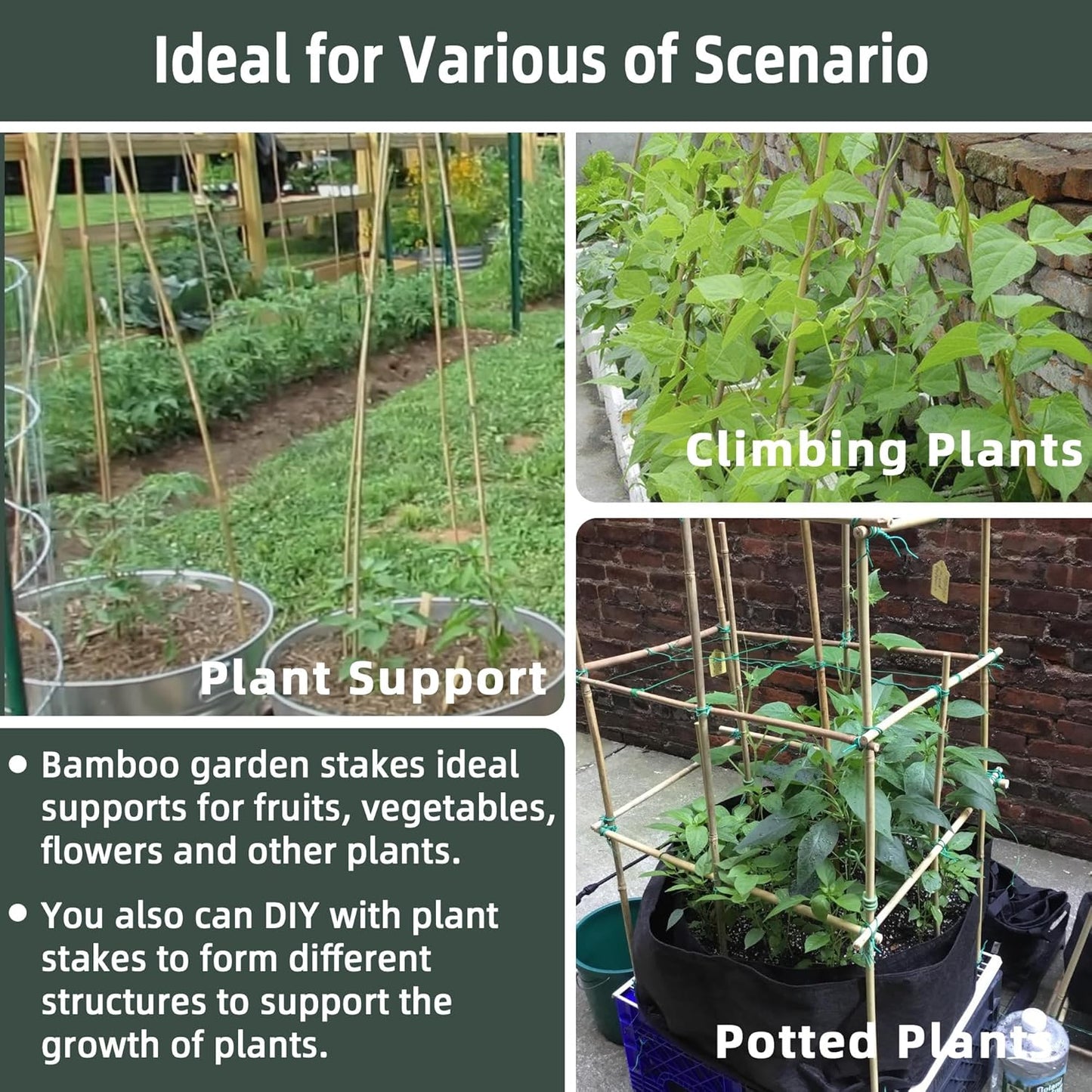 50Pcs / 3ft Bamboo Plant Stakes for Indoor Outdoor Plants, Garden Plant Support Sticks, Poles for Tomato Vegetables Beans Trees Potted Climbing Plants(0.32''-0.4'')