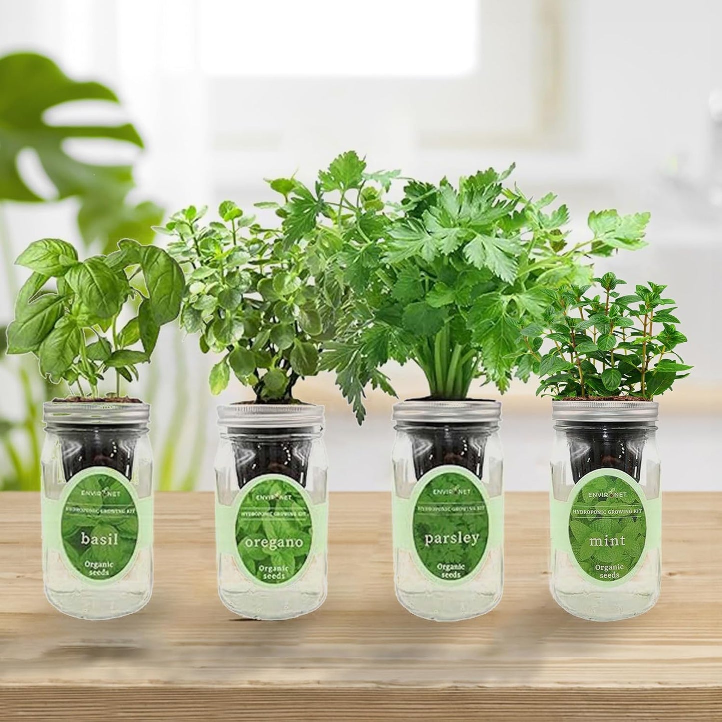 Hydroponic Herb Growing Kit Set, Self-Watering Mason Jar Herb Garden Starter Kit Indoor, Grow 4 Kinds of Herbs from Seeds (Basil, Mint, Parsley & Oregano)