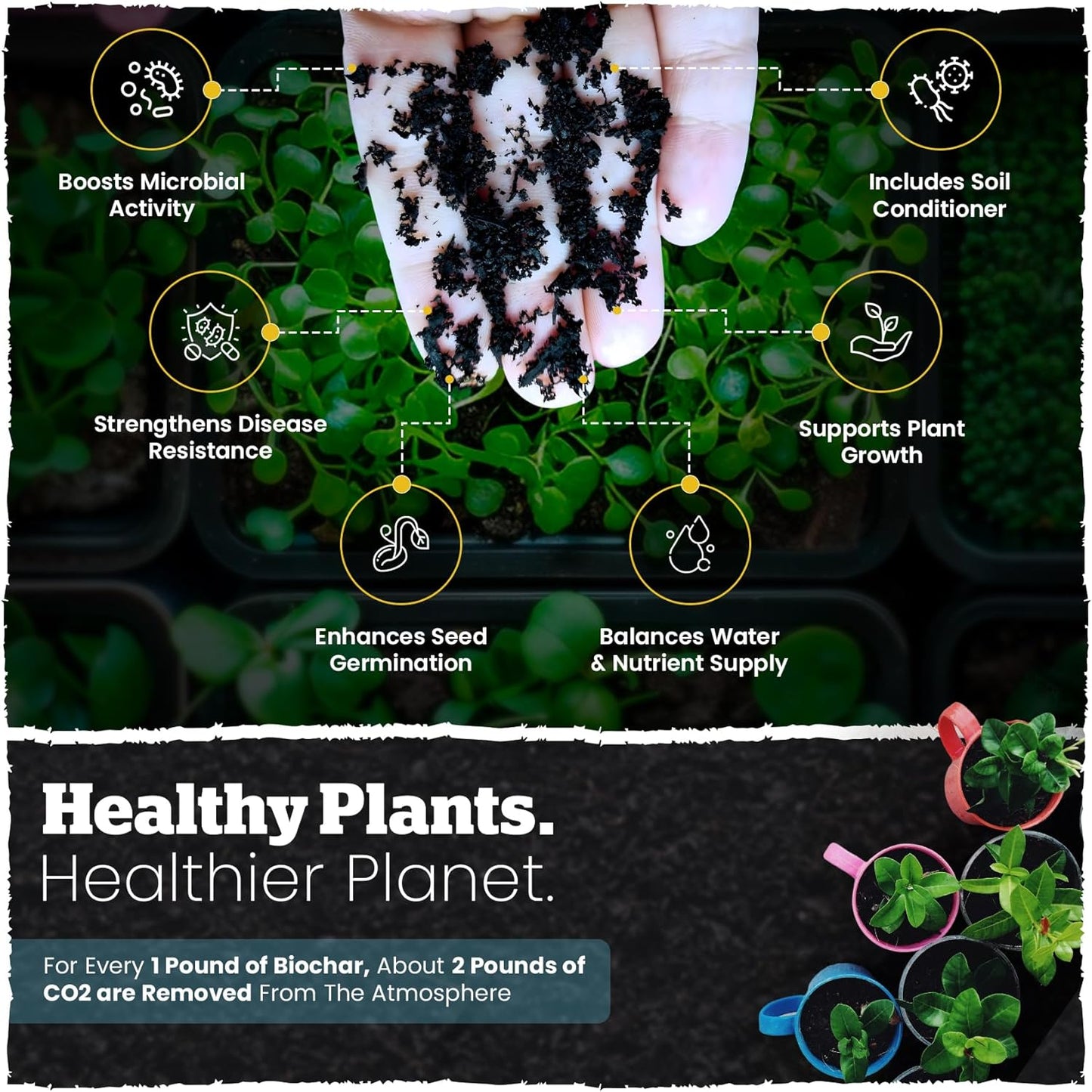 Wakefield Premium Biochar Soil Conditioner – 100% Pure Organic Biochar Soil to Boost Nutrient Retention and Water Efficiency for Houseplants, Gardens, & Lawns – 4 Quarts