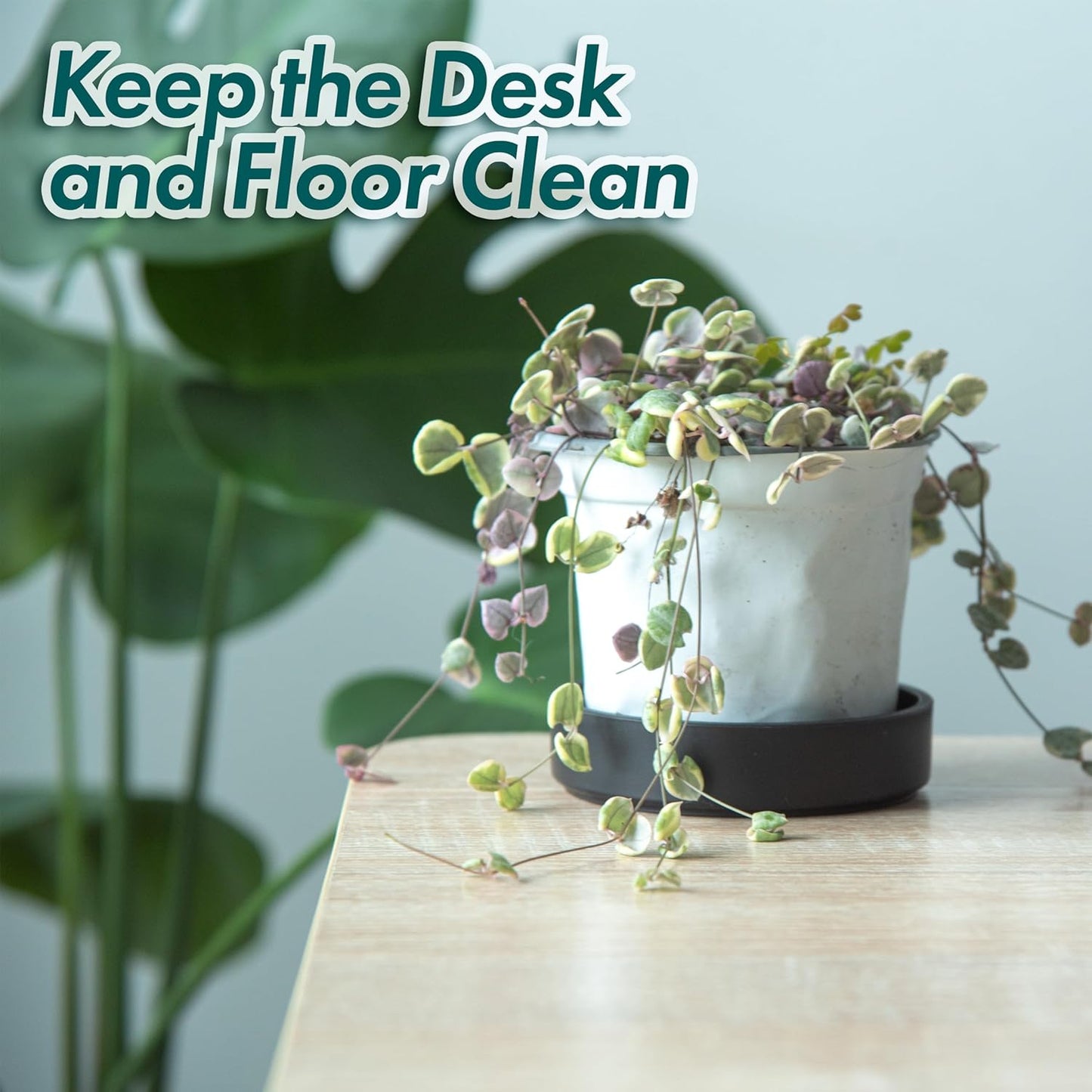 Phoenix Vine 4 Inch Plastic Plant Saucer Water Drip Tray, Heavy Sturdy Round Plant Drainage Tray for Indoors Outdoor, Matte Black, 21-TY-4B-1