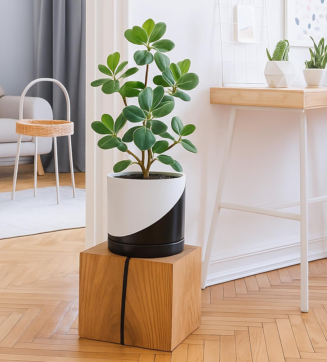 D'vine Dev 8.2 Inch Ceramic Planter Pot with Drainage Hole and Saucer, Indoor Cylinder Round Planter Pot, Oblique Monochrome Black and White, 94-O-D-K