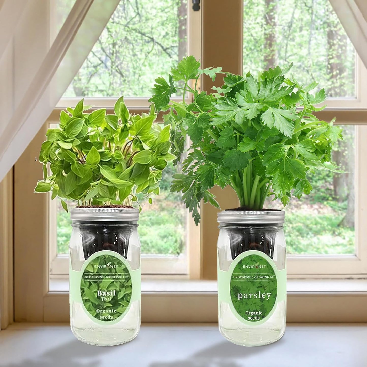 2-Pack Hydroponic Mason Jar Herb Garden Kit, Indoor Herb Garden Self-Watering Starter Kit (Thai Basil,Parsley)
