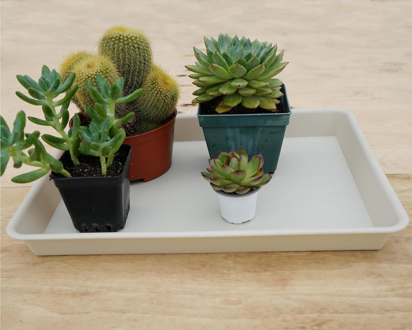 Rectangle Plant Tray, Plant Drip Tray, Plant Pot Saucers, Plant Germination Trays, Plant Saucers, 11'' x 9'' x 1.2'' (2 pack), Beige