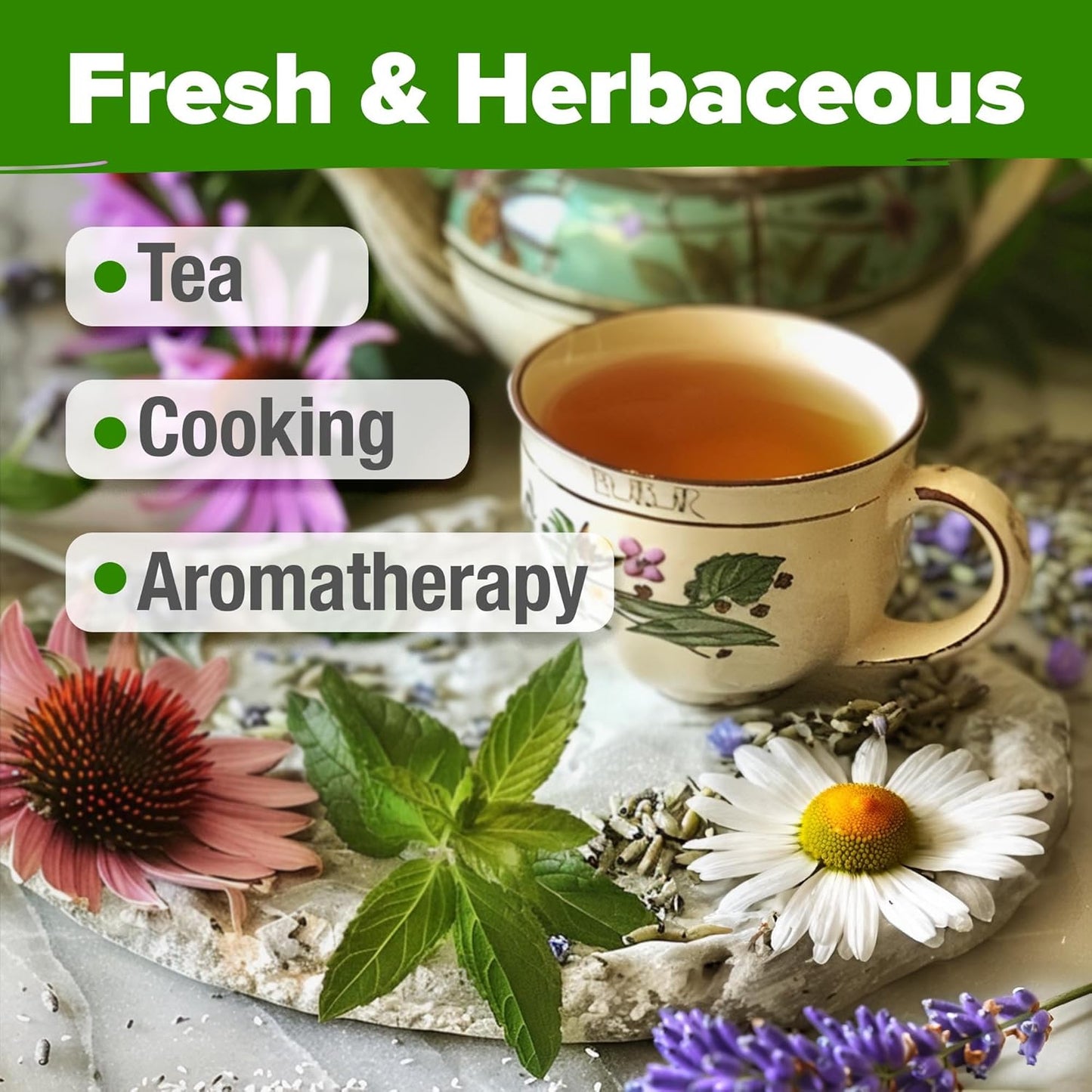 HOME GROWN Medicinal Herb Seeds Vault – 2,000+ Seeds, 6 𝗡𝗢𝗡-𝗚𝗠𝗢 𝗨𝗦𝗔 Heirloom Varieties for Indoor & Outdoor Garden – Lavender, Chamomile,Mint,Lemon Balm,Peppermint,Echinacea +Garden Markers