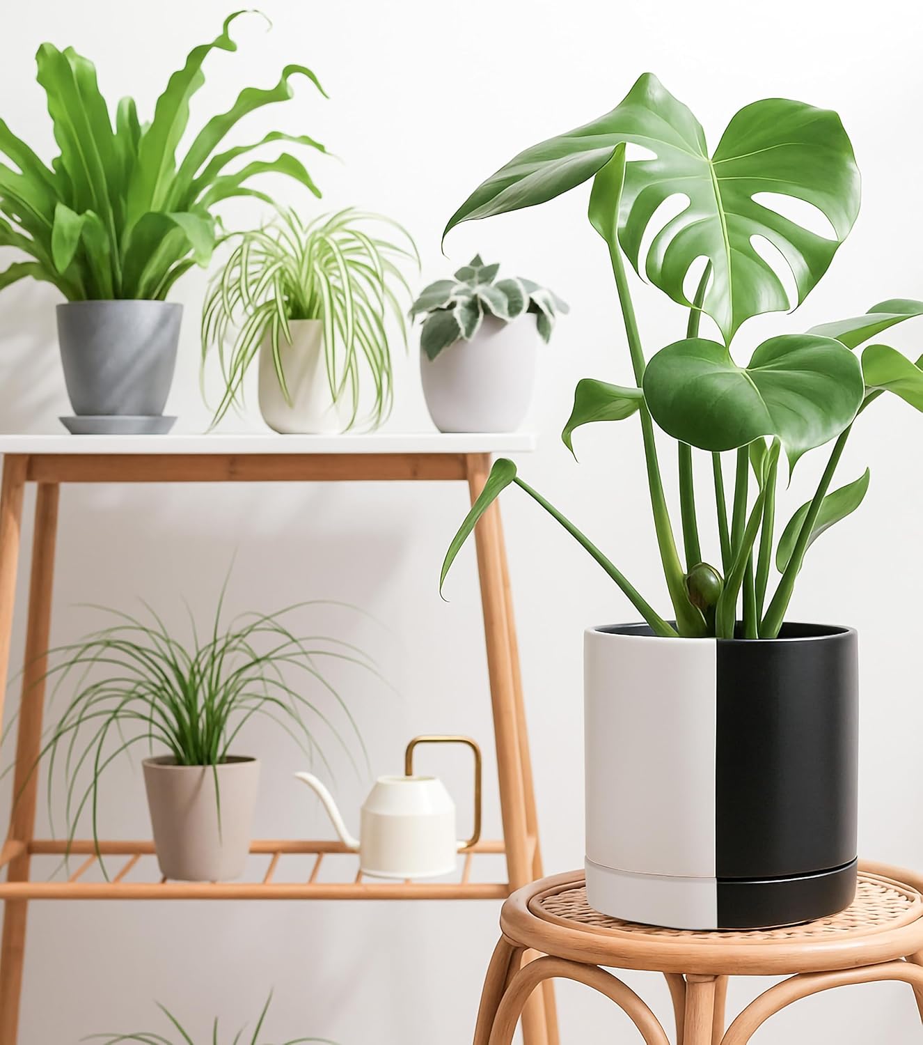 D'vine Dev 10 Inch Ceramic Planter Pot with Drainage Hole and Saucer, Indoor Cylinder Round Planter Pot, Split Monochrome Black & White, 94-O-E-0