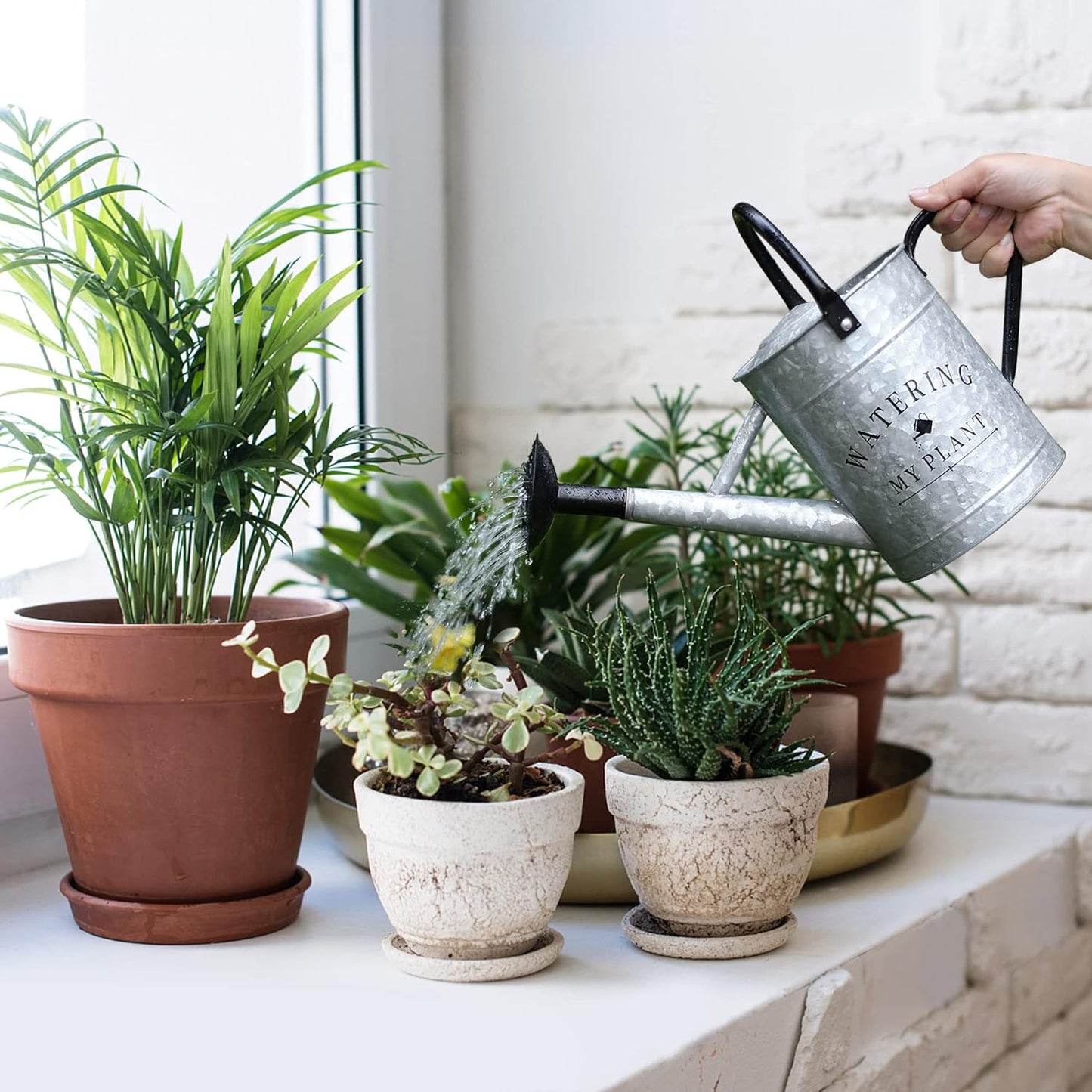 Galvanized Watering Can for Outdoor Indoor Plants, 1 Gallon Decorative Countryside Style Water Can with Removable Spout, Perfect Metal Watering Can for Indoor Plants and Garden Flower