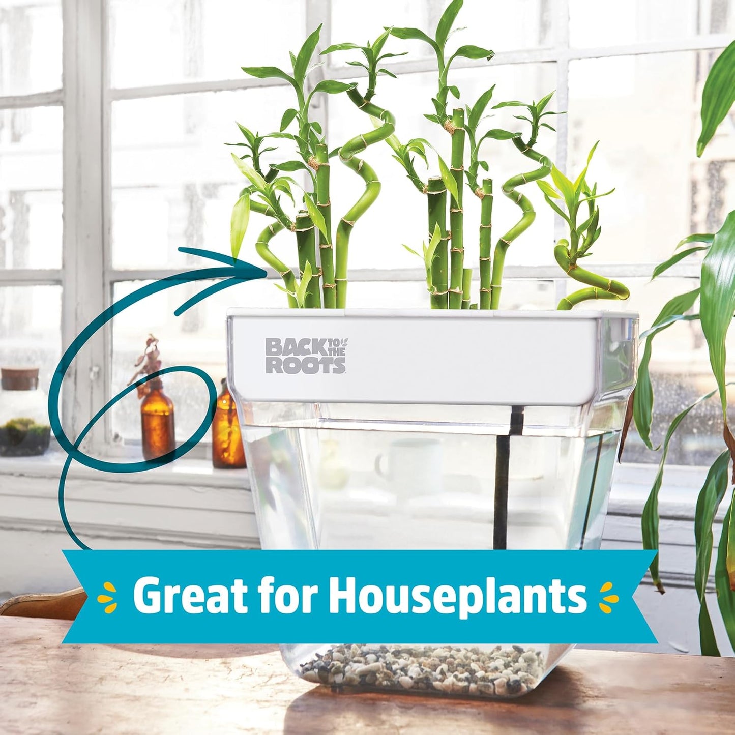 Back to the Roots Indoor Aquaponic Garden - 3 Gallon Self Watering, Mess-Free Planter and Self-Cleaning Fishtank for Herbs, Microgreens, Bamboo, Succulents, and Houseplants, support Fish