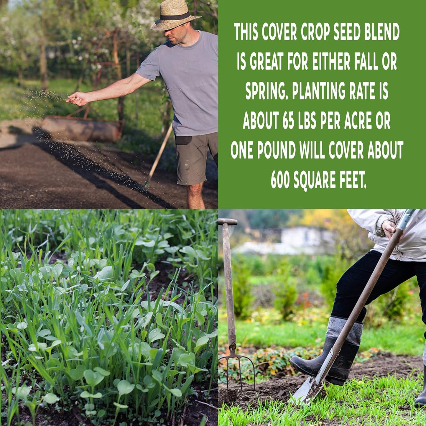 No-Till Garden Farm and Garden Cover Crop Mix Seeds - 5 Lbs - Blend of Gardening Cover Crop Seeds: Hairy Vetch, Daikon Radish, Forage Collards, Triticale, More