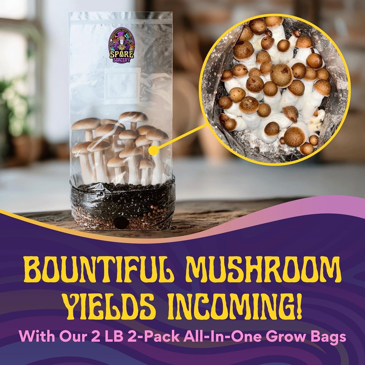 2 LB 2-Pack All-in-One Grow Kit: Up to 64oz of Mushrooms! Nutrient-Enhanced, Injection Port, Just Add Your Own Spores & Grow Like Magic (2 x 2 LB Bags)