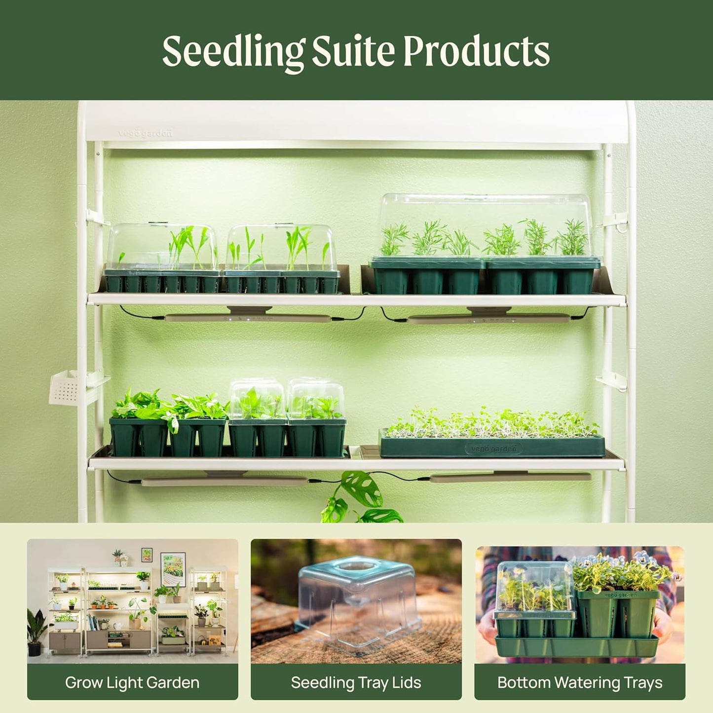 Vego garden Standard Seedling Trays Without Lids, 8 Pack for Seedlings Reusable Propagator Growing Starter Tray, Germination Trays Kit for Greenhouse/Garden (8-Cell per Tray)