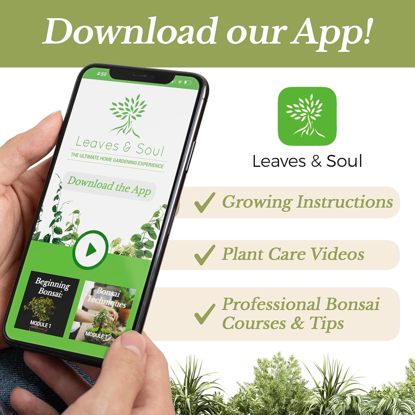 Professional African Violet Plant Soil | Premium All Purpose Blend | Large 2.2 Quarts | Ready to Use for Indoor Flowering Plants | Peat Moss, Coco Coir, Perlite, Dolomite | Made in USA