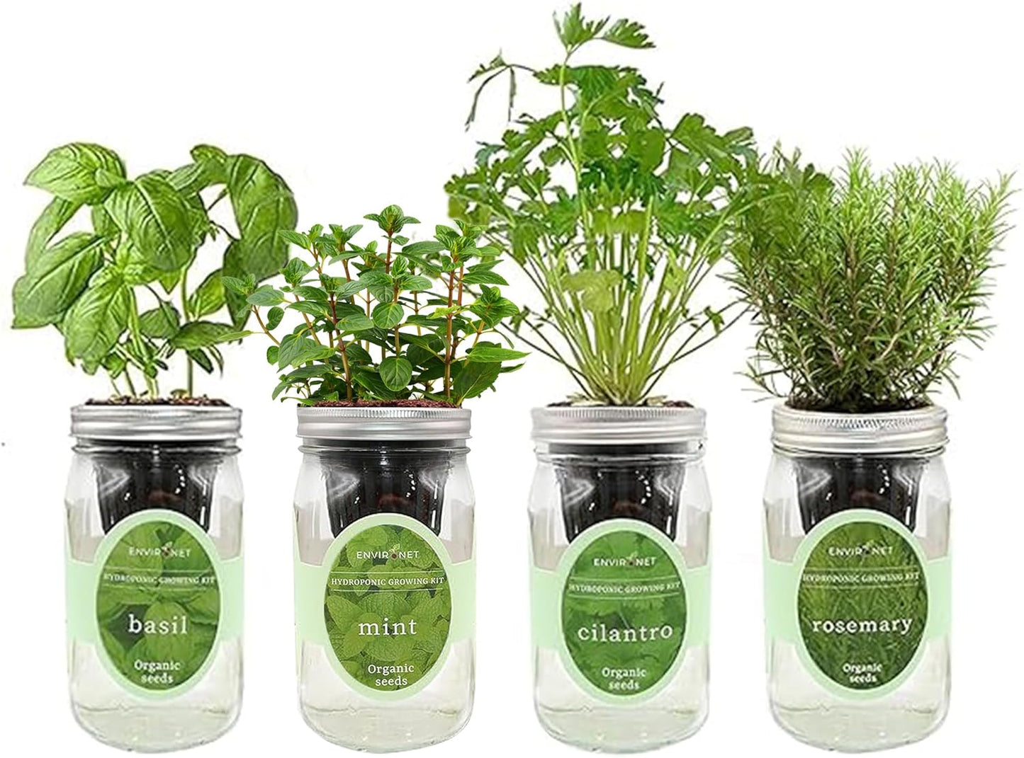 Hydroponic Herb Growing Kit Set, Self-Watering Mason Jar Herb Garden Starter Kit Indoor, Grow 4 Kinds of Herbs from Seeds (Basil, Mint, Cilantro & Rosemary)