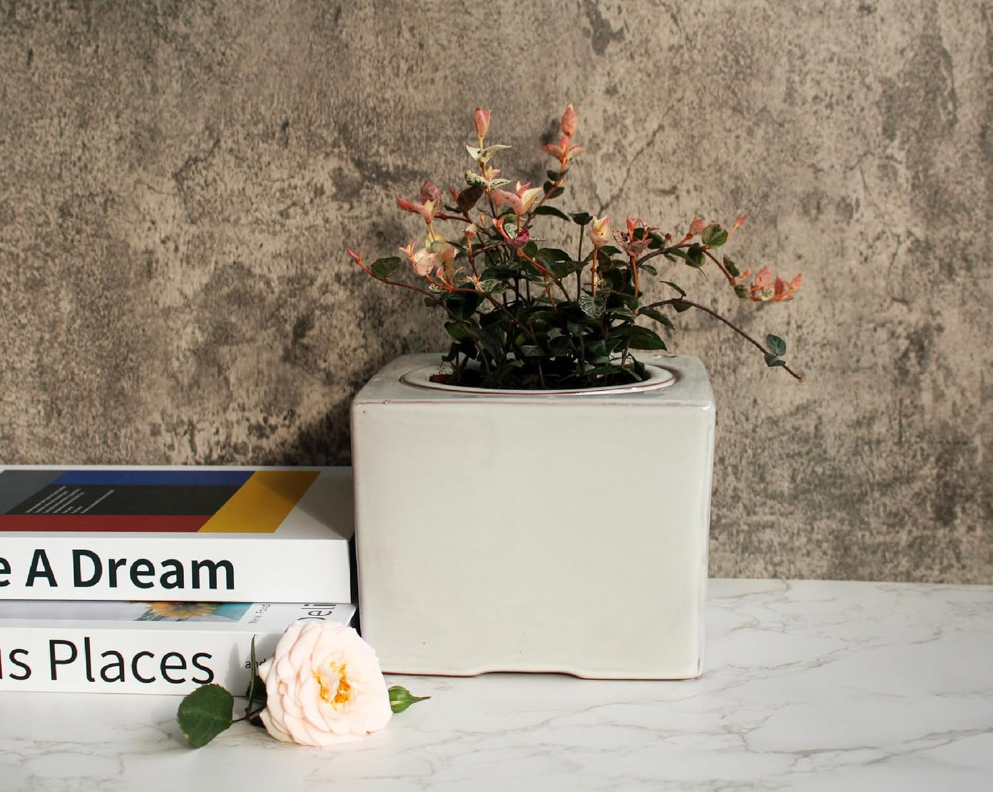 Ceramic African Violet Self Watering Pot 6 Inch Square Pot 3.5 Inch Innter Pot Easy Fill Water Reservoir White