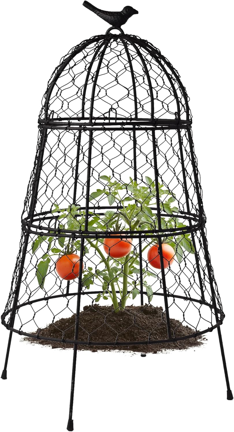 Pack of 10 Heavy-Duty Chicken Wire Plant Cloches – Rustproof Garden Protectors and Plant Cages for Vegetables and Flowers – Safeguard Plants from Deer and Critters – 20” x 12”