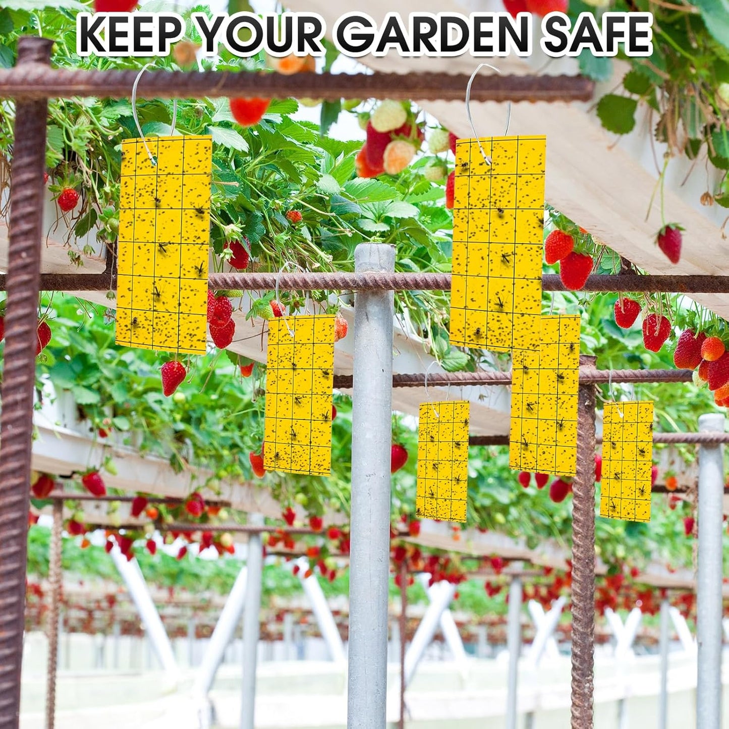 Qualirey 150 Pcs Yellow Sticky Trap for Gnats 3 x 5'' Dual Side Sticky Fruit Fly Trap with Tie Plant Sticky Trap for Flying Insect Fungus Bugs Flying Sticky Trap Sticky for Indoor Outdoor