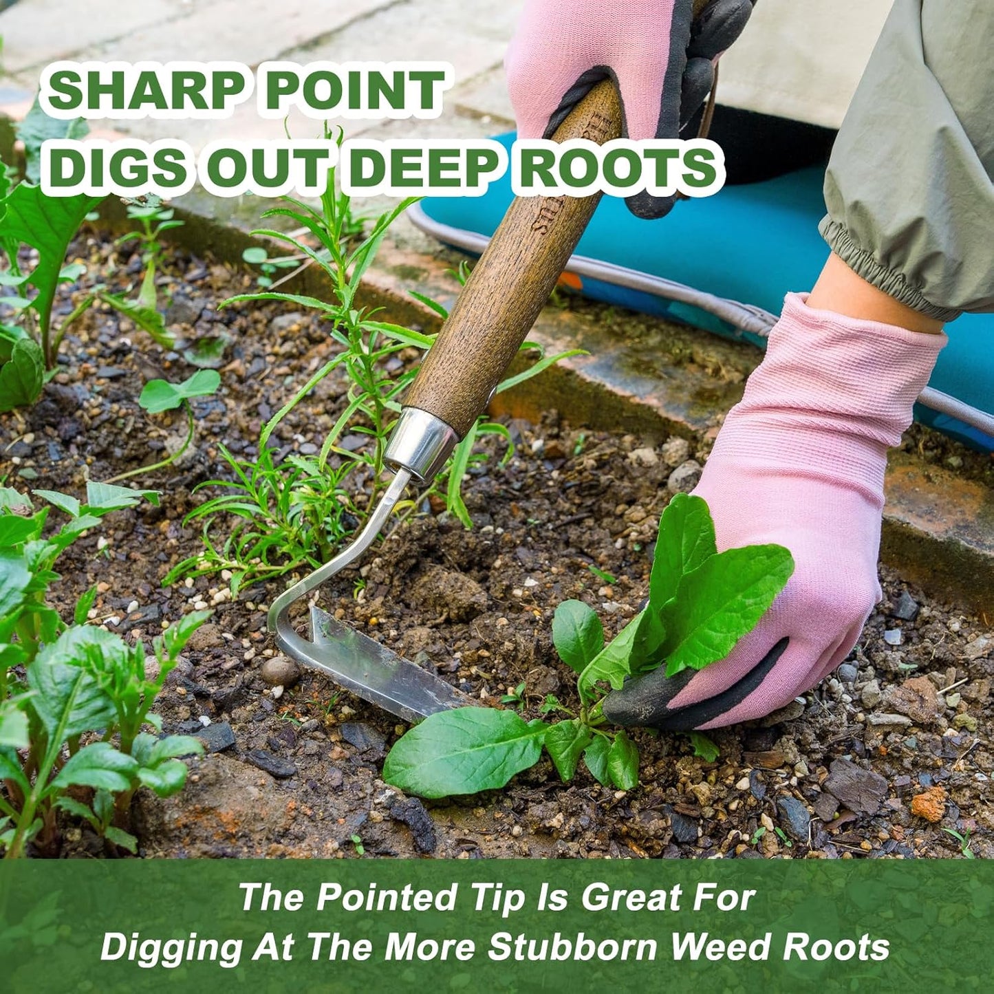 Haliaeetus Gardening Sickle Hoe, Japanese Bent Angle Weeding Sickle, Stainless Steel Weed Hoe Scraper, 13'' Gardening Hand Hoe with Ergonomic Wood Handle for Weeding, Loosening Soil and Cultivating