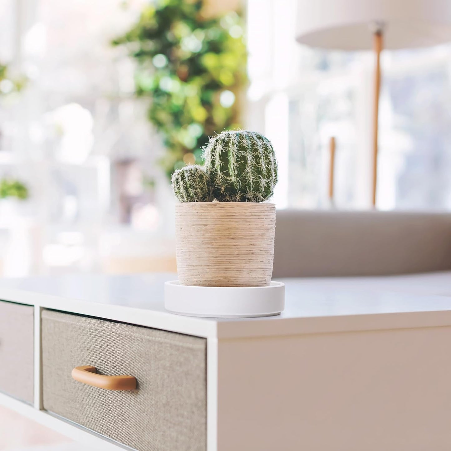 Phoenix Vine 6 Inch Plastic Plant Saucer Water Drip Tray, Heavy Sturdy Round Plant Drainage Tray for Indoors Outdoor, Set of 2, Matte White, 21-TY-6W-2