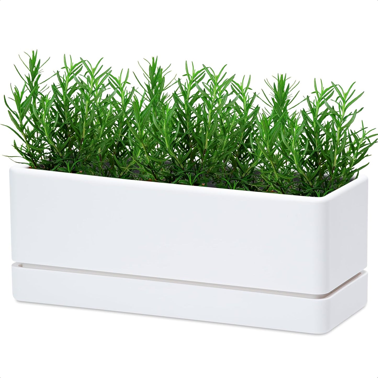 D'vine Dev 12 Inch Window Box Planter, Rectangle Plastic Herb Planter with Drainage Holes and Saucer, Indoor Succulent Cactus Vegetable Pot for Windowsill, Garden Balcony, White, Set of 1, 76-X-A-1