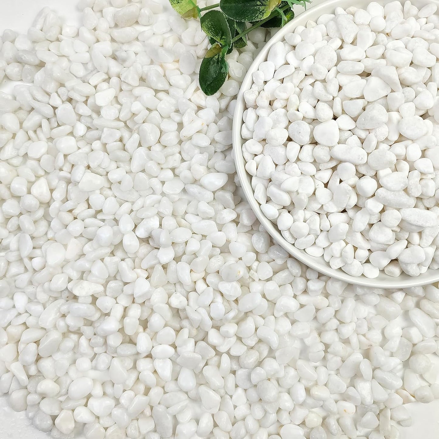 20lbs White Pebbles for Landscaping, 3/8inch Small Rocks for Gardening Succulent Cactus Planters, Natural Polished Pebbles, River Rocks for Plants, Vases