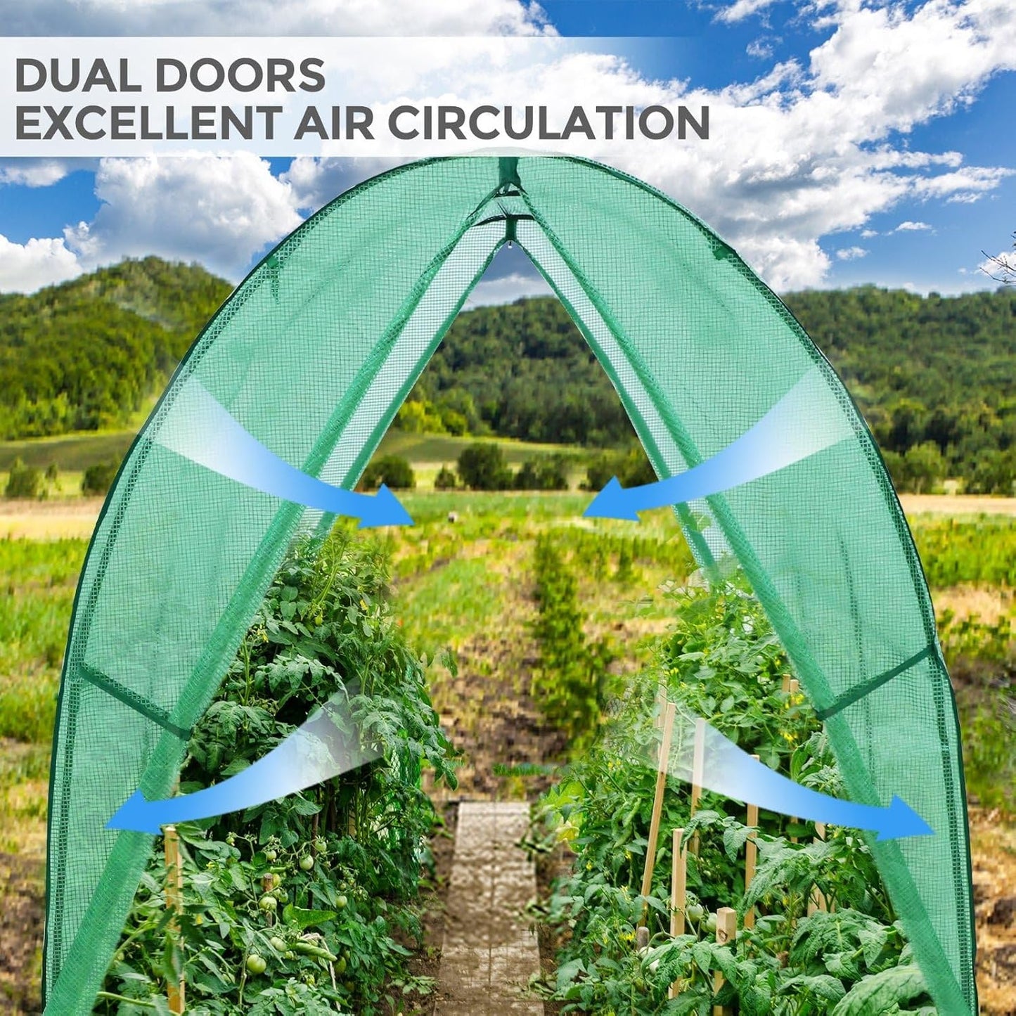 EAGLE PEAK Tunnel Greenhouse Garden Green House with Zippered Door and 2 Roll-up Side Windows, 70.9"x70.9"x78.7", Clear/Green