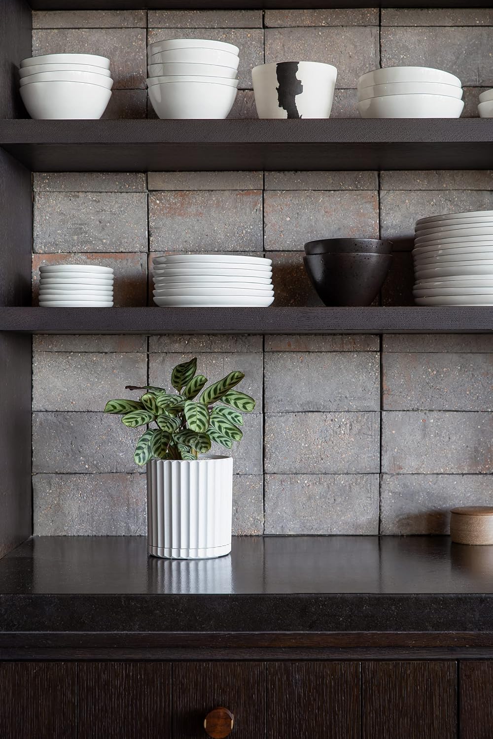 Veradek Demi Series Demi 6" Planter w/Tray, White