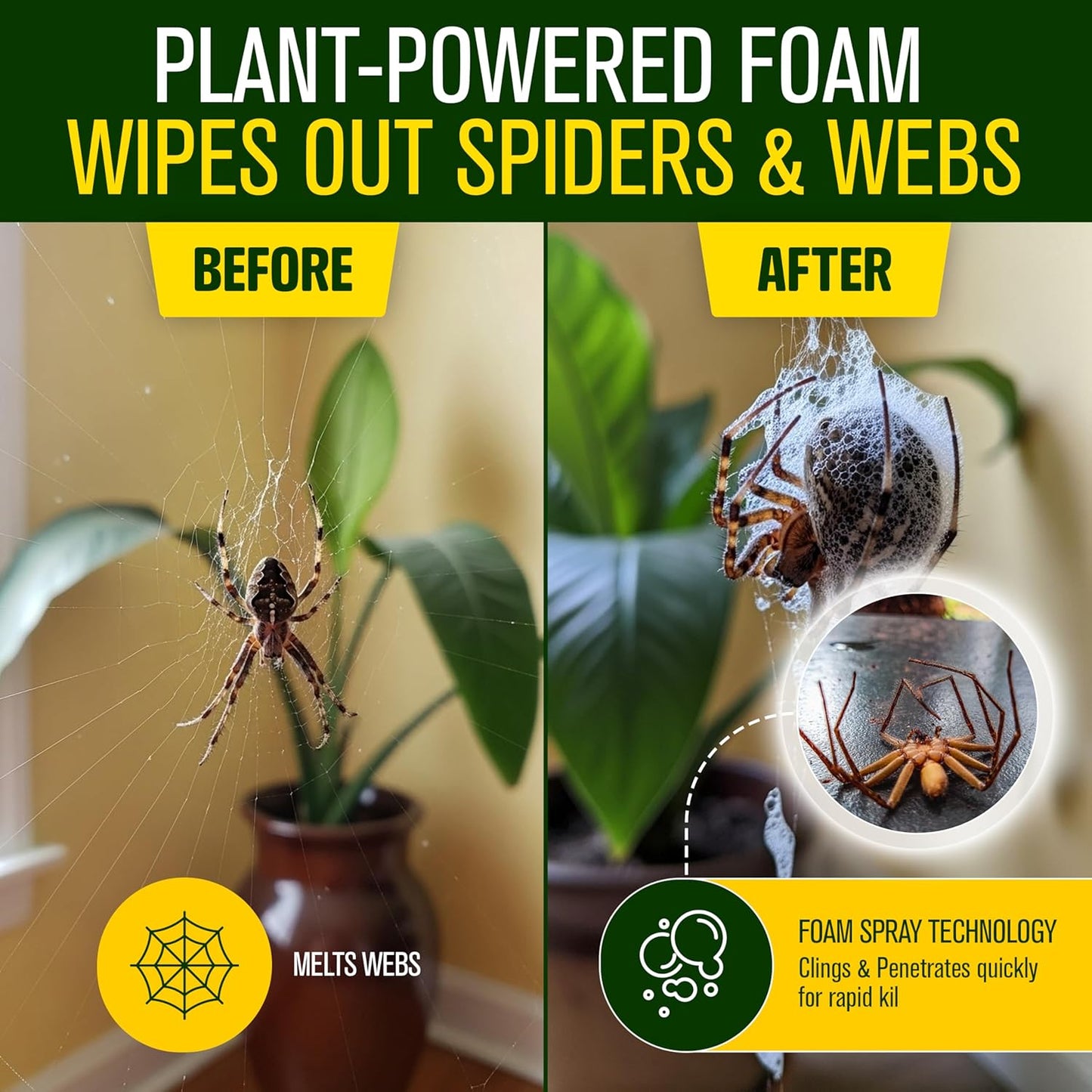 Green Guard Pest Control Spray - Indoor & Outdoor Killer of Ants, Roaches, Spiders & Other Crawling Insects, Safe Around Children & Pets, Plant-Based, Pleasant Scent (Peppermint Hit, 16oz)