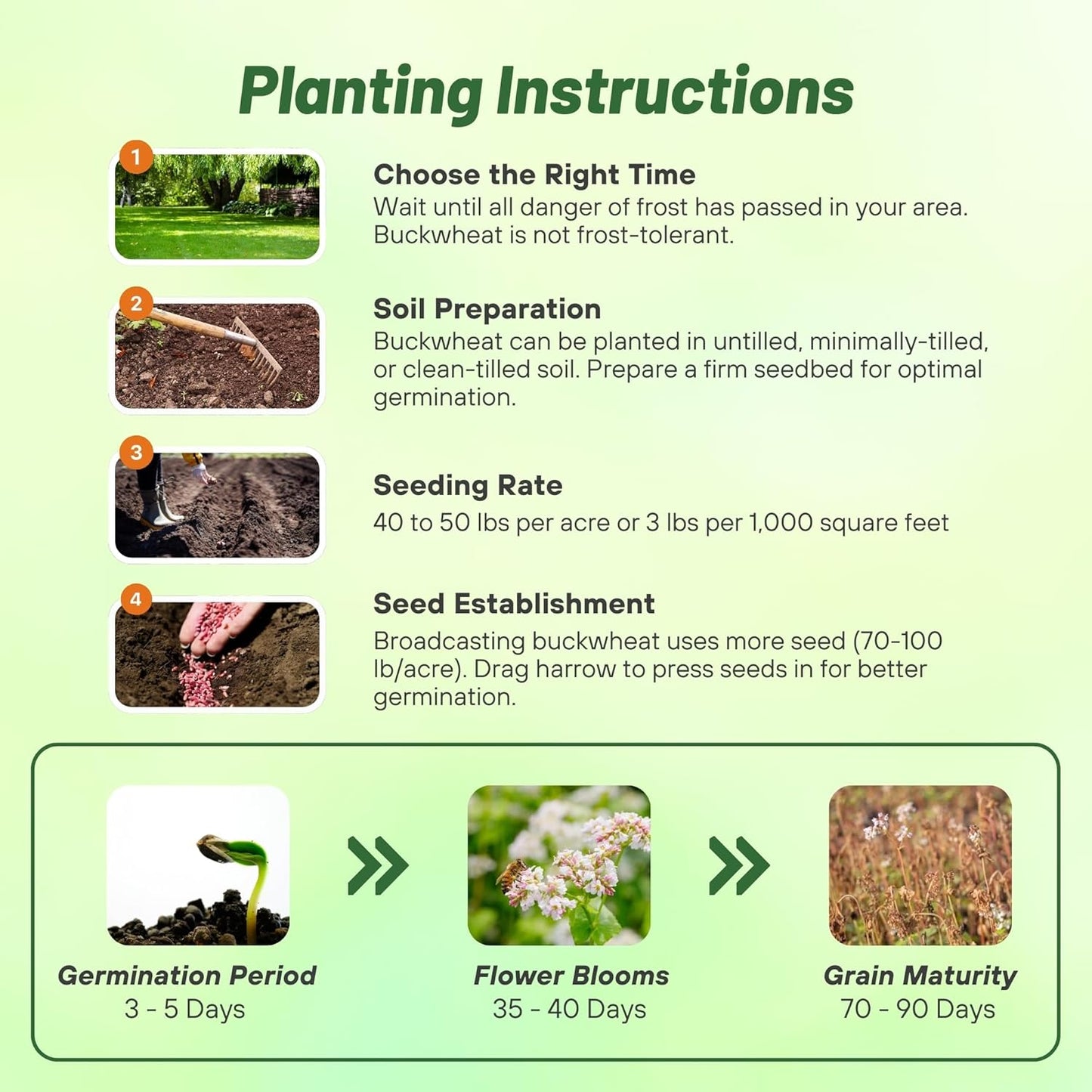 Outsidepride Buckwheat Seeds - 1lb Annual, Fast-Growing, Easy to Grow Buckwheat Cover Crop Seeds for Green Manure, Bee Pasture & Pollinators, Wildlife Habitat, Soil Improvement, and Erosion Control