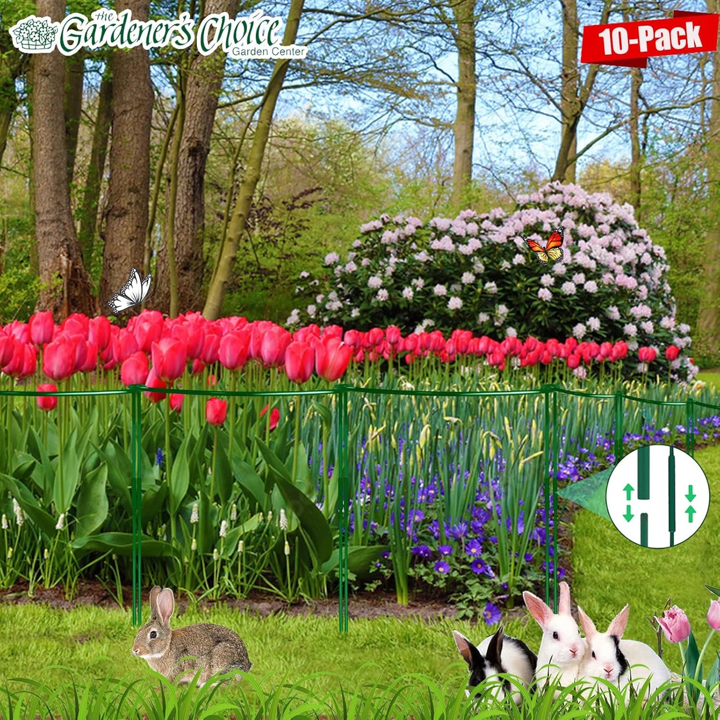 10-Pack Adjustable Height Snake Plant Support Stakes- Sturdy, Rust-Resistant Plant Supports for Indoor and Outdoor Potted Plants (16x10Inch) - Flower and Garden Peony Support