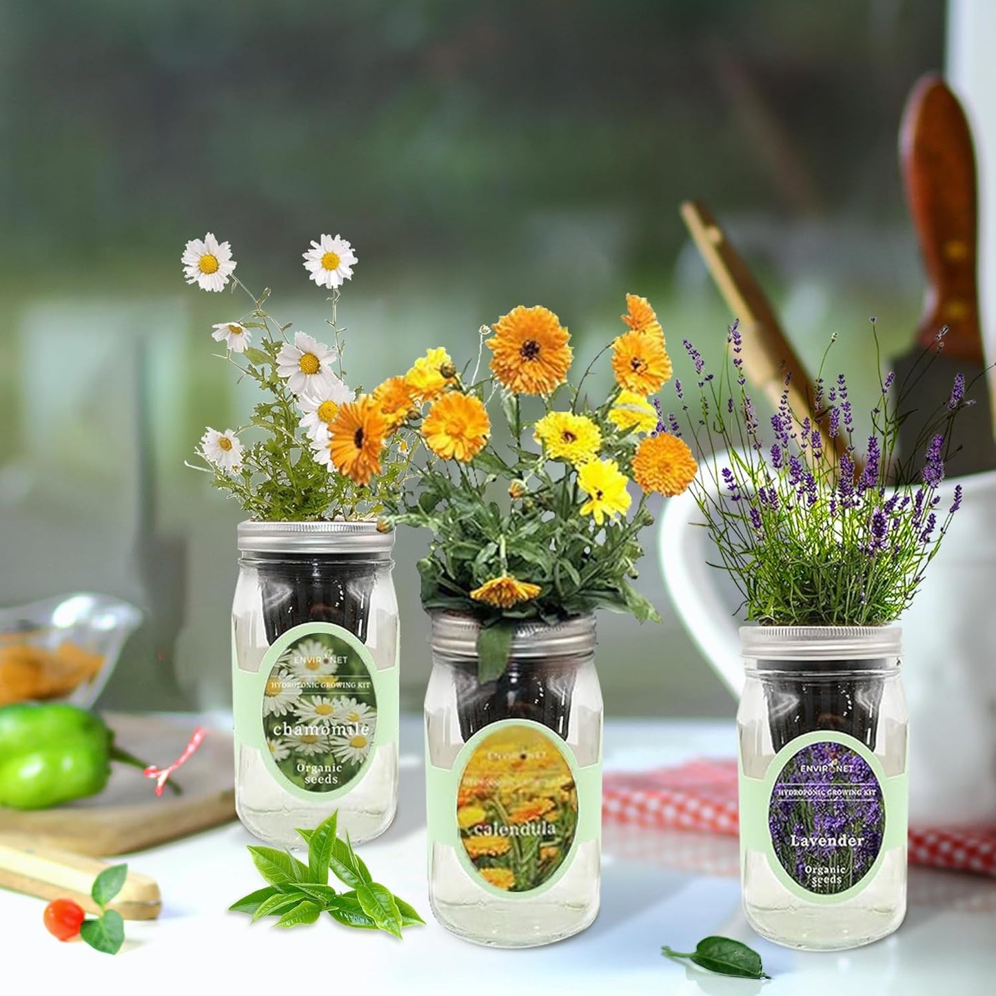 Hydroponic Herb Growing Kit Set, Self-Watering Mason Jar Herb Garden Starter Kit Indoor, Grow Your Own Herbs from Seeds (Calendula, Chamomile & Lavender)